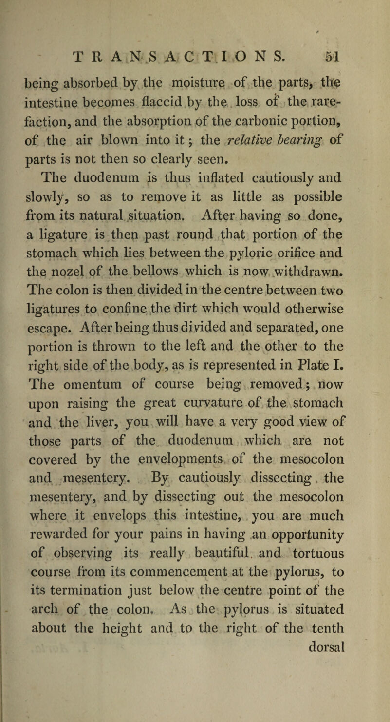 being absorbed by the moisture of the parts, the intestine becomes flaccid by the loss of the rare¬ faction, and the absorption of the carbonic portion, of the air blown into it; the relative bearing of parts is not then so clearly seen. The duodenum is thus inflated cautiously and slowly, so as to remove it as little as possible from its natural situation. After having so done, a ligature is then past round that portion of the stomach which lies between the pyloric orifice and the nozel of the bellows which is now withdrawn. The colon is then divided in the centre between two ligatures to confine the dirt which would otherwise escape. After being thus divided and separated, one portion is thrown to the left and the other to the right side of the body, as is represented in Plate I. The omentum of course being removed; now upon raising the great curvature of the stomach and the liver, you will have a very good view of those parts of the duodenum which are not covered by the envelopments of the mesocolon and mesentery. By cautiously dissecting the mesentery, and by dissecting out the mesocolon where it envelops this intestine, you are much rewarded for your pains in having an opportunity of observing its really beautiful, and tortuous course from its commencement at the pylorus, to its termination just below the centre point of the arch of the colon. As the pylorus is situated about the height and to the right of the tenth dorsal