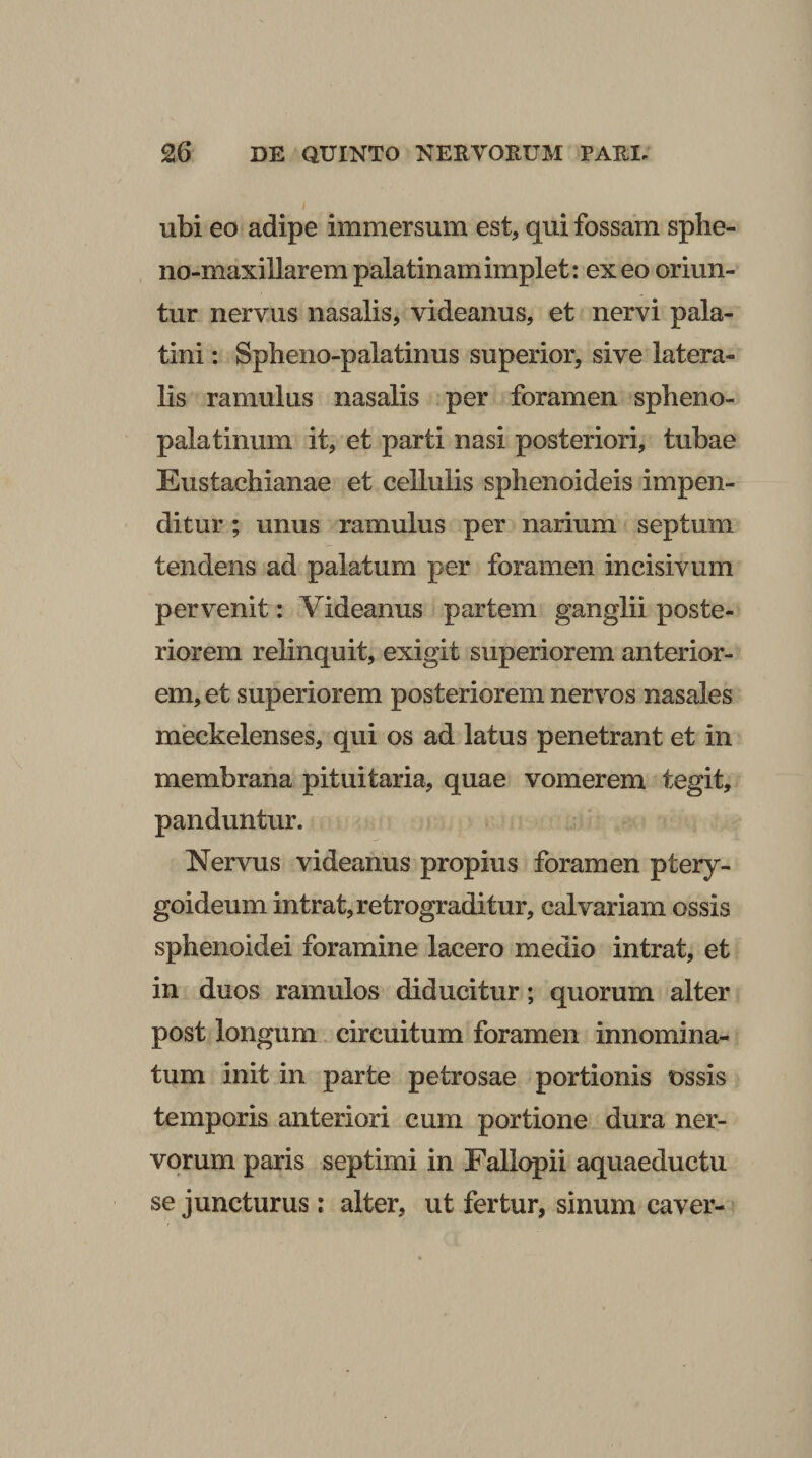 ubi eo adipe immersum est, qui fossam sphe- iio-maxillarem palatinam implet; ex eo oriun¬ tur nervus nasalis, videanus, et nervi pala¬ tini : Spbeno-palatinus superior, sive latera¬ lis ramulus nasalis per foramen spheno¬ palatinum it, et parti nasi posteriori, tubae Eustachianae et cellulis sphenoideis impen¬ ditur ; unus ramulus per narium septum tendens ad palatum per foramen incisivum pervenit: Videanus partem ganglii poste¬ riorem relinquit, exigit superiorem anterior¬ em, et superiorem posteriorem nervos nasales meckelenses, qui os ad latus penetrant et in membrana pituitaria, quae vomerem tegit, panduntur. Nervus videanus propius foramen ptery¬ goideum intrat, retrograditur, calvariam ossis sphenoidei foramine lacero medio intrat, et in duos ramulos diducitur; quorum alter post longum, circuitum foramen innomina¬ tum init in parte petrosae portionis ossis temporis anteriori cum portione dura ner¬ vorum paris septimi in Fallopii aquaeductu se juncturus: alter, ut fertur, sinum caver-