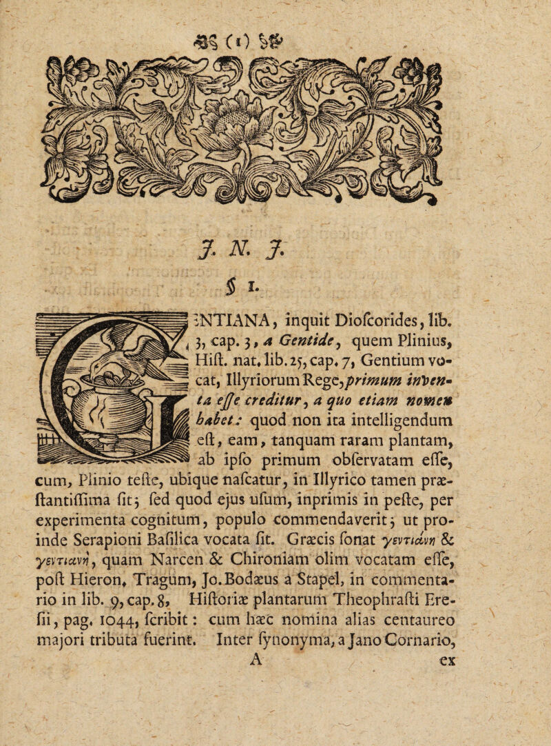 § iv iNTIANA, inquit Diofcorides,lib. i h caP* 3> A Gentide, quem Plinius, Hift. nat»lib.25, capv7, Gentium vo¬ cat, Illyriorum Ikz^primum inten¬ ta ejje creditur, a quo etiam nomem habet: quod non ita intelligendum eft, eam, tanquam raram plantam, ab ipfo primum oblervatam efie, cum, Plinio tefte, ubique nafcatur, in Illyrico tamen prae- ftantiffima fit, fed quod ejus ufum, inprimis in pefte, per experimenta cognitum, populo commendaverit 3 ut pro¬ inde Serapioni Bafilica vocata fit. Graecis fonat ysvTidvn & yemm, quam Narcen & Chironiam olim vocatam efie, poft Hieron* Tragum, Jo.Bodaeus a Stapel, in commenta¬ rio in lib. 9, cap, 8, Hiftoriae plantarum Theophrafli Ere- fii, pag. 1044, fcribit: cum haec nomina alias centaureo majori tributa fuerint. Inter (ynonyma;aJano Gornario, A ex