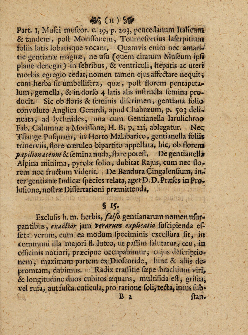 Part I, Mufei nuifeor. c. 39, p. 203, peucedanum Italicum & tandem, poft Moriffonem, Tonrnefortius laferpitium foliis latis lobatisque vocant* Quamvis enim nec amari* tie gentianae magnae, ne ufu (quem citatum Mufeum ipfi plane denegat) in febribus, & ventriculi , hepatis ac uteri morbis egregio cedat, nomen tamen ejusaffe&are nequit $ cum herba fit umbellifera, quae, poft florem pentapeta#* ium, gemella, & indorfo 4 latis alis inftruda femina pro¬ ducit. Sic ob floris & feminis dilcrimen, gentiana folia convoluto Angliea Gerardi, apud Chabraeum, p. 503 deli« neata, ad lychnides, una cum Gentianella larulichroo Fab. Calumnse a Moriflbne, H. B* p* ni, ablegatur. NeQ Tfiange Pufquam , in Horto Malabarico, gentianella foliis trinerviis, flore coeruleo bipartito appellata, hic, ob florens papilionaceum & femina nuda, ftare poteft* De gentianells Alpina minima, pyrolae folio, dubitat Rajus, cum nec flo^ rem nec frudum viderit. De Bandura Cingalenflum, in) ter gentianae Indicae fpecies relata, aget D.D. Praefes in Pro* lufione, noftrae Differtationi praemittenda^ § iy- Exclufis h.m. herbis,/4^0 gentianarum nomen ufur- patltibus, exafiior jam Verarum explicatio fufcipienda efe fet: verum, cum ea modum fpeciminis excdlura fit, m communi illa majori fl. luteo, ut paffim falutatur, ceu, in officinis notiori, praecipue occupabimur 5 cujus defcriptio* nem, maximam partem ex Diofcoride, hinc & aliis de- promtam, dabimus. Radix craffitie faepe brachium viri, & longitudine duos cubitos aequans, multifida eft, grifea, vel rufe,, aut fufca, cuticula, pro ratione foli, tecta, intus fub» B 1 ftan-