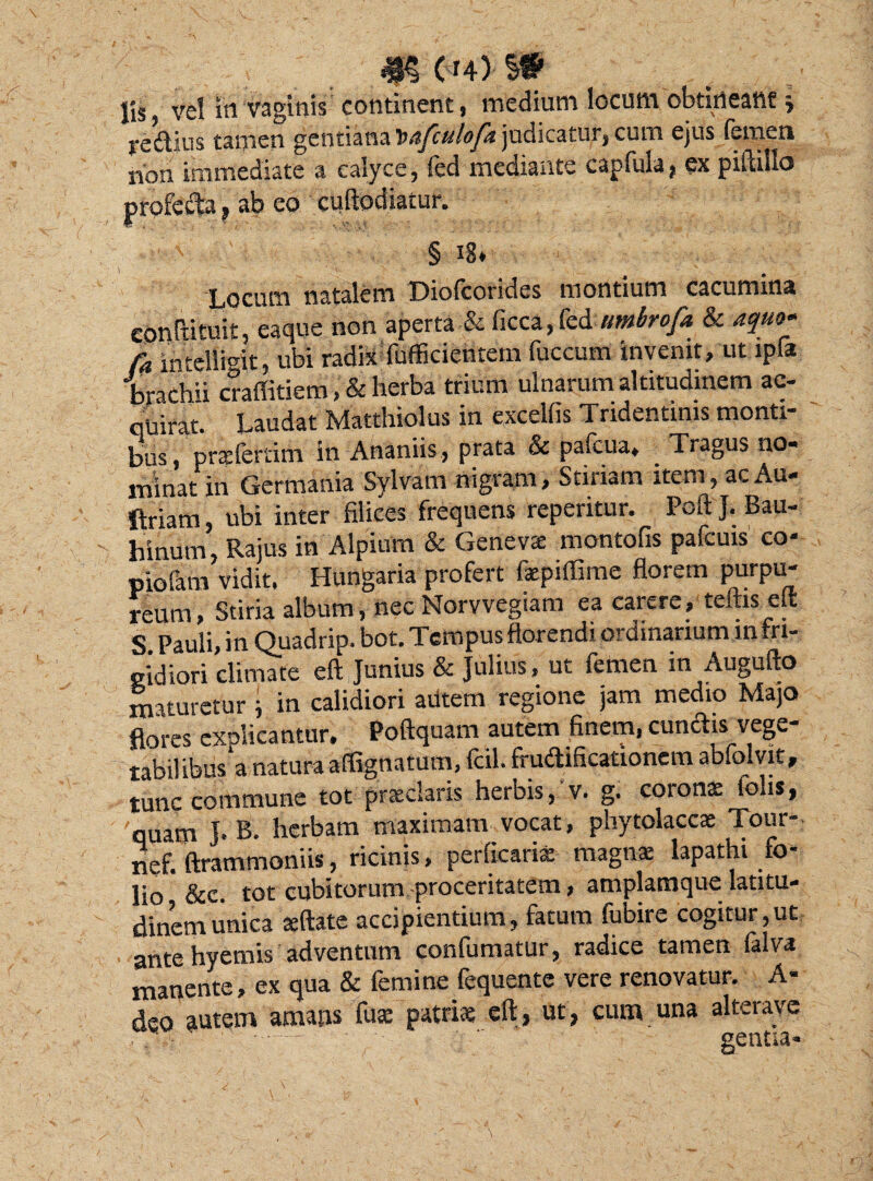 m en) st lis, vel irt vaginis continent, medium locum obtineant j redius tamen gentiana judicatur, cum ejus (emeti rion immediate a calyce, fed mediante capfula, ex piftiilo profeda» ab eo cuftodiatur. / 'i § 18* . Locum natalem Diolcorides montium cacumina conftituit, eaque non aperta & ficca,fed umhrofa & aquo* fa intelligit, ubi radix Sufficientem fuccum invenit, ut ipfa brachii craffitiem , & herba trium ulnarum altitudinem ac¬ quirat. Laudat Matthiolus in excellis Tridentinis monti bus, praeferiim in Ananiis, prata & pafcua» . Tragus no¬ minat in Germania Sylvatn nigram. Stiriam item, ac Au- ftriam, ubi inter filices frequens reperitur. PcftJ.Bau- hinurn, Rajus in Alpium & Genevae montofis pafcuis co« piofam vidit. Hungaria profert faepiffime florem purpu¬ reum, Stiria album, nec Norvvegiam ea carere, teftis elt S Pauli, in Quadrip. bot. Tempus florendi ordinarium in fri¬ gidiori climate eft Junius & Julius, ut femen in Augufto maturetur i in calidiori autem regione jam medio Majo flores explicantur. Poftquam autem finem, eundis vege¬ tabilibus^ natura affignatum, fcil. frudificattonem abfolvit, tunc commune tot pratclaris herbis, v. g. coronae fohs, 'quam J. B. herbam maximam vocat, phytolaccae Tour- nef. ftrammoniis, ricinis, perficariae magn« lapathi fo- lio &c. tot cubitorum proceritatem, amplamque latitu¬ dinem unica «flate accipiendum, fatum fubire cogitur,ut ante hyemis adventum confumatur, radice tamen falva manente, ex qua & femine fequente vere renovatur. A- deo autem amans fus patris eft, ut, cum una alterave genua-