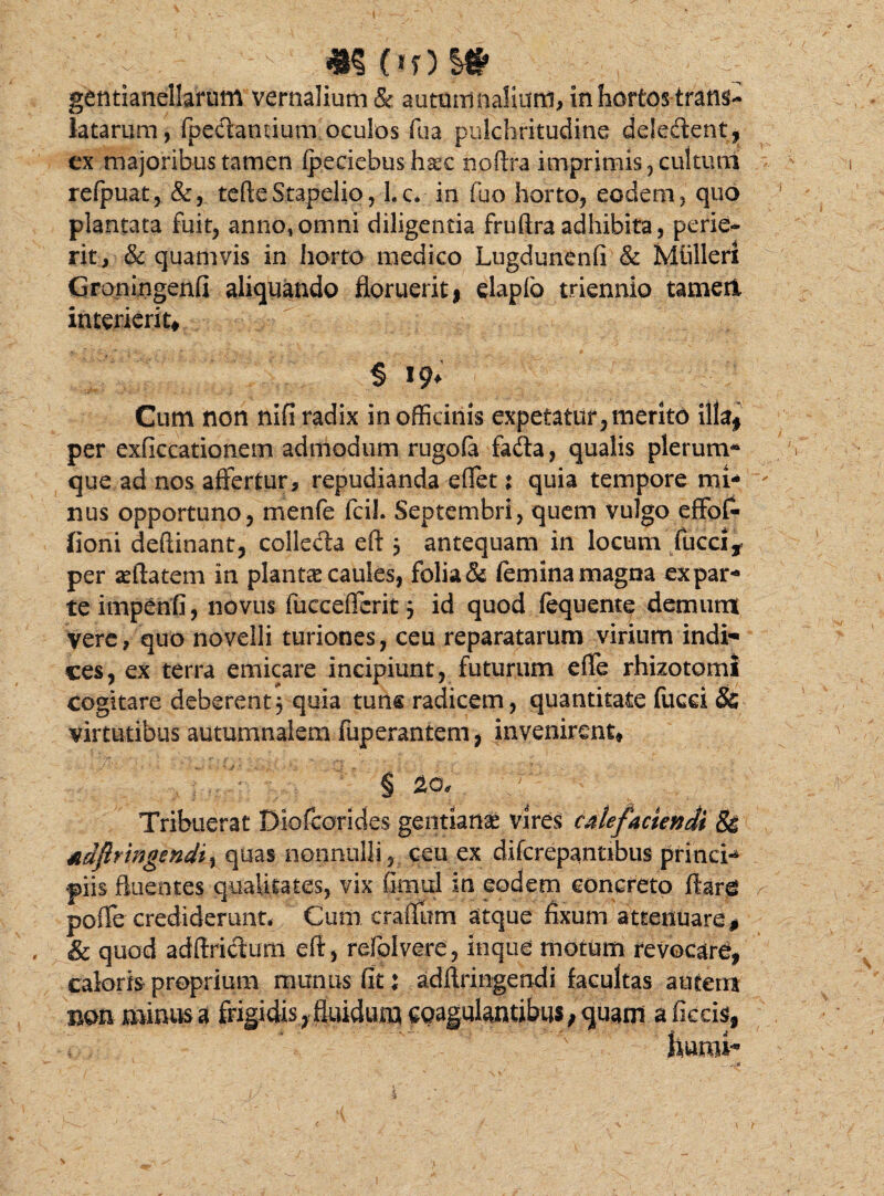 getitianellarum vernalium & autumnalium, in hortos trans- latarum, (pedantium oculos fua pulchritudine delectent, ex majoribus tamen ipeciebus ha*c noftra imprimis, cultum refpuat, &, tefteStapelio, Lc. in fuo horto, eodem, quo plantata fuit, anno, omni diligentia fruftra adhibita , perie¬ rit, & quamvis in horto medico Lugdunenfi & Mlilleri Groningenfi aliquando floruerit, elapfo triennio tametx interierit, § I* Cum non nifi radix in officinis expetatur,merito illa, per exficcationem admodum rugofa fada, qualis plerum* que ad nos affertur, repudianda effet : quia tempore mi* nus opportuno, menfe fcil. Septembri, quem vulgo effo£ fioni deftinant, colleda eft 3 antequam in locum fucci, per seftatem in planta caules, folia & (emina magna expar¬ te impenfi, novus fucceffcrit j id quod fequente demunt Vere, quo novelli turiones, ceu reparatarum virium indi¬ ces, ex terra emicare incipiunt, futurum effe rhizotomi cogitare deberent, quia tuns radicem, quantitate fucci & virtutibus autumnalem fuperantem, invenirent, § 20, ' ' 'h. .. Tribuerat Diofcorides gentiana vires calefaciendi & Aaftringendi% quas nonnulli, ceu ex difcrepantibus princi¬ piis fluentes qualitates, vix (imul in eodem concreto ftar£ pofle crediderunt. Cum craffiim atque fixum attenuare* & quod adftridum eft, refolvere, inqtie motum revocare, caloris proprium munus fit: adftringendi facultas autem mn minus a frigidas, fluidum coagulantibus; quam aficcis,