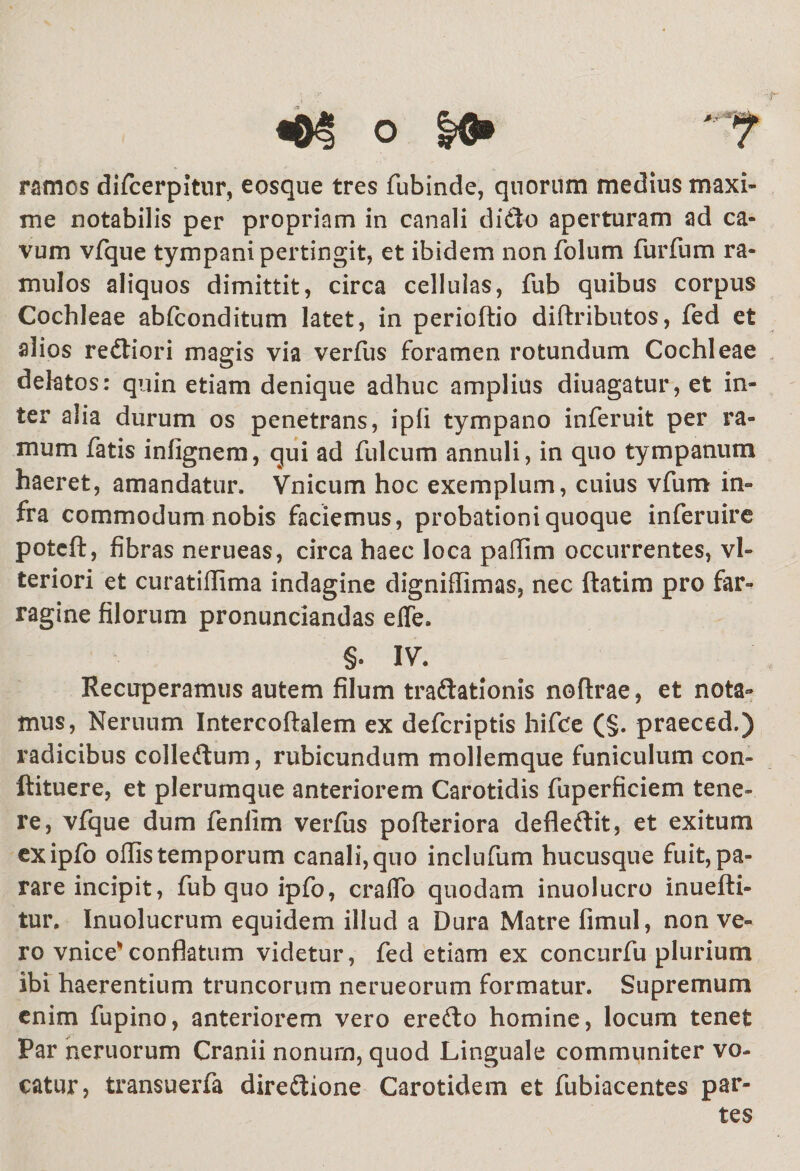 ramos difcerpitur, eosque tres fubinde, quorum medius maxi¬ me notabilis per propriam in canali dido aperturam ad ca¬ vum vfque tympani pertingit, et ibidem non folum furfum ra¬ mulos aliquos dimittit, circa cellulas, fub quibus corpus Cochleae abfconditum latet, in perioftio diftributos, fed et alios rediori magis via verfus foramen rotundum Cochleae delatos: quin etiam denique adhuc amplius diuagatur, et in¬ ter alia durum os penetrans, ipli tympano inferuit per ra¬ mum fatis infignem, qui ad fulcum annuli, in quo tympanum haeret, amandatur, Vnicum hoc exemplum, cuius vfum in¬ fra commodum nobis faciemus, probationi quoque inferuire poteft, fibras nerueas, circa haec loca padim occurrentes, vl- teriori et curatidima indagine digniflimas, nec ftatim pro far¬ ragine filorum pronunciandas ede. §. IV. Recuperamus autem filum tradationis noftrae, et nota¬ mus, Neruum Intercoftalem ex defcriptis hifce (§. praeced.) radicibus colledum, rubicundum mollemque funiculum con- ftituere, et plerumque anteriorem Carotidis fuperficiem tene¬ re, vfque dum fenlim verfus pofleriora defledit, et exitum exipfo odis temporum canali, quo inclufum hucusque fuit, pa¬ rare incipit, fub quo ipfo, erado quodam inuolucro inuefti- tur. Inuolucrum equidem illud a Dura Matre fimul, non ve¬ ro vnice'conflatum videtur, fed etiam ex concurfu plurium ibi haerentium truncorum nerueorum formatur. Supremum enim fupino, anteriorem vero eredo homine, locum tenet Par neruorum Cranii nonum, quod Linguale communiter vo¬ catur, transuerfa diredione Carotidem et fubiacentes par¬ tes