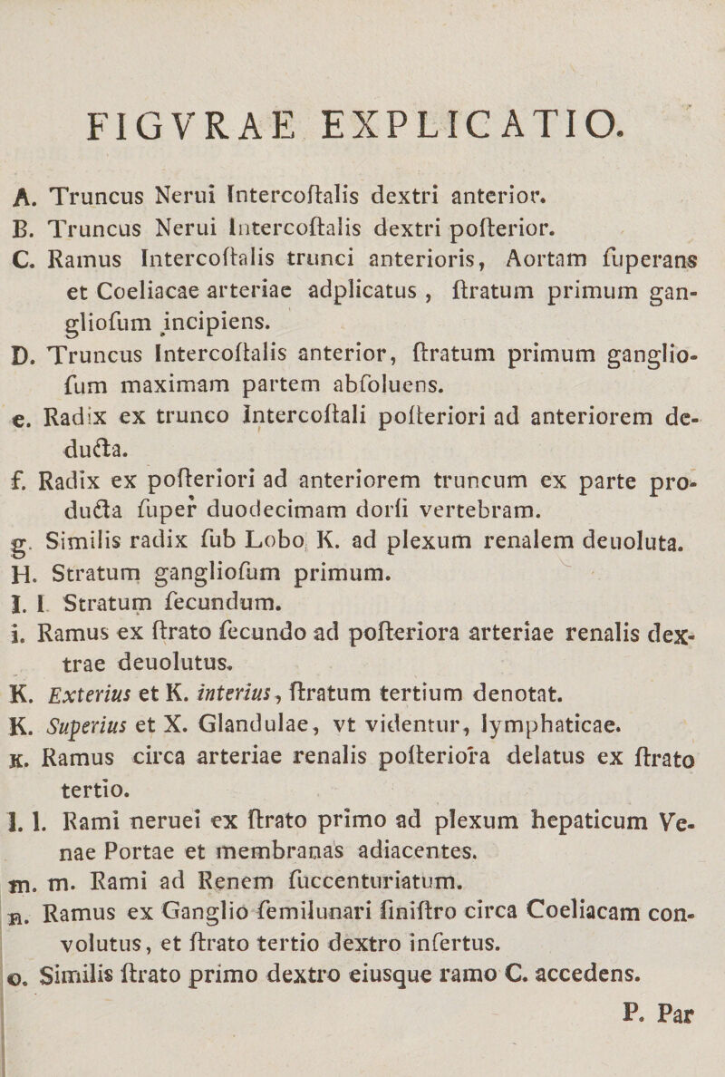 FIGVRAE EXPLICATIO. A. Truncus Nerui lntercoftalis dextri anterior, B. Truncus Nerui lntercoftalis dextri pofterior. C. Ramus lntercoftalis trunci anterioris, Aortam fuperans et Coeliacae arteriae adplicatus , ftratum primum gan- gliofum incipiens. D. Truncus lntercoftalis anterior, ftratum primum ganglio- fum maximam partem abfoluens. e. Radix ex trunco Intercoftali pofteriori ad anteriorem de- dufta. f. Radix ex pofteriori ad anteriorem truncum ex parte pro» dufta fuper duodecimam dorli vertebram. g. Similis radix fub Lobo K. ad plexum renalem deuoluta. H. Stratum gangliofum primum. I. i Stratum fecundum. i. Ramus ex ftrato fecundo ad pofteriora arteriae renalis dex¬ trae deuolutus. K. Exterius et K. interius, ftratum tertium denotat. K. Superius et X. Glandulae, vt videntur, lymphaticae, x. Ramus circa arteriae renalis pofteriora delatus ex ftrato tertio. I. 1. Rami neruei ex ftrato primo ad plexum hepaticum Ve¬ nae Portae et membranas adiacentes. fn. m. Rami ad Renem fuccenturiatum. b. Ramus ex Ganglio femilunari finiftro circa Coeliacam con¬ volutus, et ftrato tertio dextro infertus. ©. Similis ftrato primo dextro eiusque ramo C. accedens. P. Par