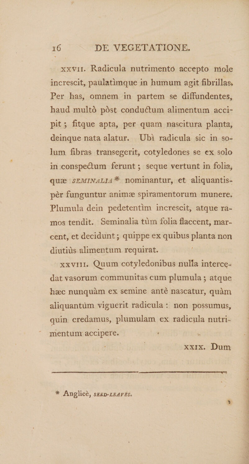 xxvn. Radicula nutrimento accepto mole increscit, paulatimque in humum agit fibrillas. Per has, omnem in partem se diffundentes, haud multo post condudtum alimentum acci¬ pit ; fitque apta, per quam nascitura planta, deinque nata alatur. Ubi radicula sic in so¬ lum fibras transegerit, cotyledones se ex solo in conspectum ferunt; seque vertunt in folia, quae seminalia * nominantur, et aliquantis¬ per funguntur animae spiramentorum munere. Plumula dein pedetentim increscit, atque ra¬ mos tendit. Seminalia tum folia flaccent, mar¬ cent, et decidunt; quippe ex quibus planta non diutius alimentum requirat. xxviii. Quum cotyledonibus nulla interce¬ dat vasorum communitas cum plumula ; atque haec nunquam ex semine ante nascatur, quam aliquantum viguerit radicula : non possumus, quin credamus, plumulam ex radicula nutri- mentum accipere. xxix. Dum * Anglice, SEED^LEAFES»