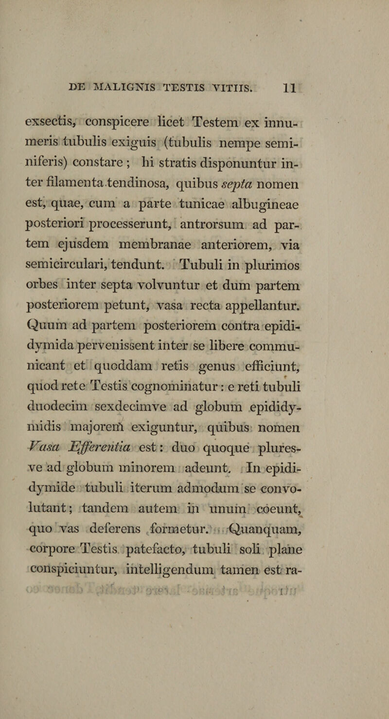exsectis, conspicere licet Testem ex innu¬ meris tubulis exiguis (tubulis nempe semi¬ niferis) constare ; hi stratis disponuntur in¬ ter filamenta .tendinosa, quibus septa nomen est, quae, cum a parte tunicae albugineae posteriori processerunt, antrorsum ad par¬ tem ejusdem membranae anteriorem, via semicirculari, tendunt. Tubuli in plurimos orbes inter septa volvuntur et dum partem posteriorem petunt, vasa recta appellantur. Quum ad partem posteriorem contra epidi¬ dymida pervenissent inter se libere commu¬ nicant et quoddam retis genus efficiunt, quod rete Testis cognominatur: e reti tubuli duodecim sexdecimve ad globum epididy¬ midis majoreni exiguntur, quibus nomen Vasa Efferentia est: duo quoque plures- ve ad globum minorem adeunt. In epidi¬ dymide tubuli iterum admodum se convo¬ lutant ; tandem autem in unum coeunt, quo vas deferens formetur. Quanquam, corpore Testis patefacto, tubuli soli plane conspiciuntur, intelligendum tamen est ra-