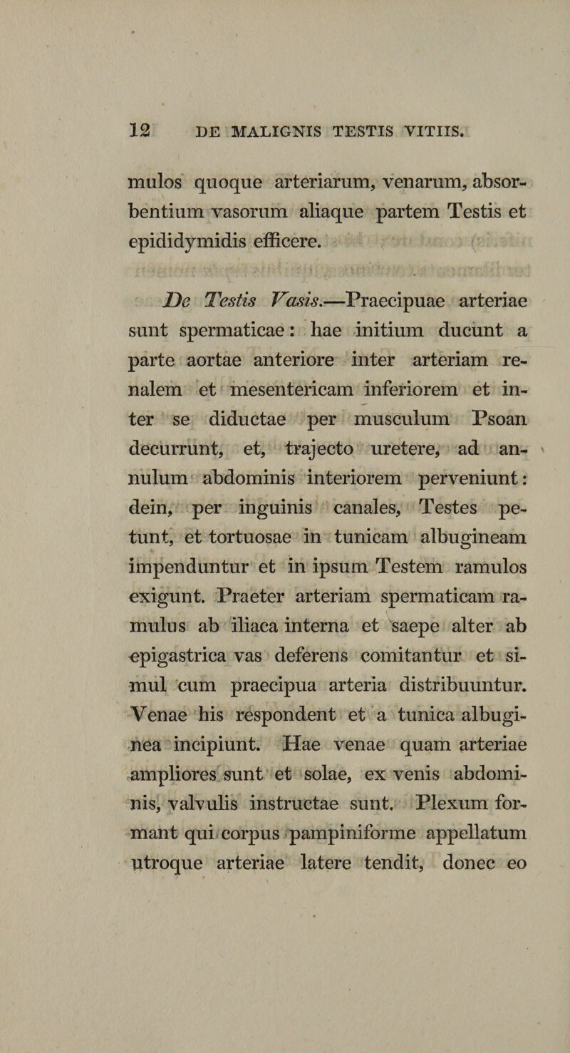 malos quoque arteriarum, venarum, absor¬ bentium vasorum aliaque partem Testis et epididymidis efficere. De Testis Vasis.—Praecipuae arteriae sunt spermaticae: hae initium ducunt a parte aortae anteriore inter arteriam re¬ nalem et mesentericam inferiorem et in¬ ter se diductae per musculum Psoan decurrunt, et, trajecto uretere, ad an- nulum abdominis interiorem perveniunt: dein, per inguinis canales, Testes pe¬ tunt, et tortuosae in tunicam albugineam impenduntur et in ipsum Testem ramulos exigunt. Praeter arteriam spermaticam ra¬ mulus ab iliaca interna et saepe alter ab epigastrica vas deferens comitantur et si¬ mul cum praecipua arteria distribuuntur. Venae his respondent et a tunica albugi¬ nea incipiunt. Hae venae quam arteriae ampliores sunt et solae, ex venis abdomi¬ nis, valvulis instructae sunt. Plexum for¬ mant qui corpus pampiniforme appellatum utroque arteriae latere tendit, donec eo