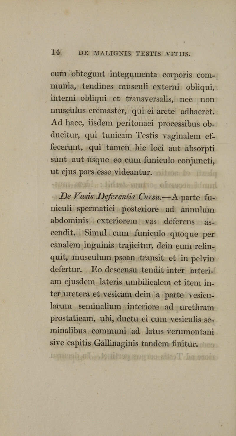 eum obtegunt integumenta corporis com¬ munia, tendines musculi externi obliqui, interni obliqui et transversalis, nec non musculus cremaster, qui ei arcte adhaeret. Ad baec, iisdem peritonaei processibus ob¬ ducitur, qui tunicam Testis vaginalem ef¬ fecerunt, qui tamen liie loci aut absorpti sunt aut usque eo cum funiculo conjuncti, ut ejus pars esse videantur. \ :,t[ U «1 A. K -‘j‘£ ;] De Vasis Deferentis Cursu.—A parte fu¬ niculi spermatici posteriore ad annulum abdominis exteriorem vas deferens as¬ cendit. Simul cum funiculo quoque per canalem inguinis trajicitur, dein eum relin¬ quit, musculum psoan transit et in pelvin defertur. Eo descensu tendit inter arteri¬ am ejusdem lateris umbilicalem et item in¬ ter uretera et vesicam dein a parte vesicu¬ larum seminalium interiore ad urethram prostaticam, ubi, ductu ei cum vesiculis se¬ minalibus communi ad latus verumontani sive capitis Gallinaginis tandem finitur.