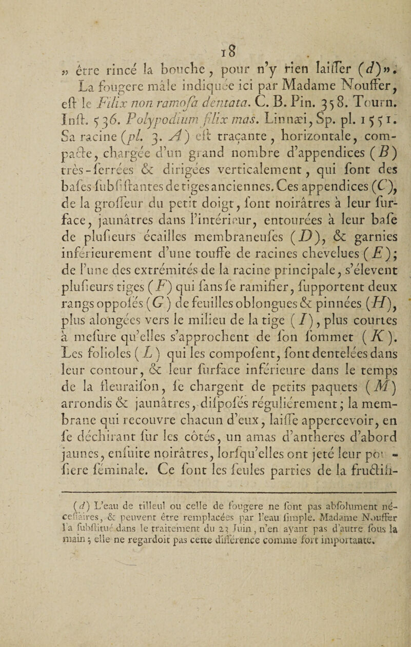jj être rince la bouche, pour n’y rien laiffer (d)»i La fougere mâle indiquée ici par Madame Nouffer, eif le F dix non rarnofa dent a ta. C. B. Pin. 358. Tourn. Inft. 5 36. Polypodium filix mas. Linnæi, Sp. pl. 1 5 &gt;1 • Sa racine (pl. 3. A) eif traçante , horizontale, com- pafte, chargée d’on grand nombre d’appendices (B) très-ferrées &amp; dirigées verticalement, qui font des bafes fubf ftantes de tiges anciennes. Ces appendices (C ), de la grolfeur du petit doigt, font noirâtres à leur fur- face, jaunâtres dans fintérieur, entourées à leur bafe de plufeurs écailles membraneufes (D), &amp; garnies inférieurement d’une touffe de racines chevelues (JS); de l’une des extrémités de la racine principale, s’élèvent plufeurs tiges (F) qui fansfe ramifier, Supportent deux rangs oppoiés (G ) de feuilles obIongues&amp; pinnées (Lf), plus alongées vers le milieu de la tige ( / ), plus courtes à mefure qu’elles s’approchent de ion fommet (A). Les folioles ( L ) qui les compofent, font dentelées dans leur contour, &amp; leur furface inférieure dans le temps de la fleuraifon, ie chargent de petits paquets (M) arrondis &amp; jaunâtres, diipofés régulièrement; la mem¬ brane qui recouvre chacun d’eux, laide appercevoir, en ie déchirant iur les côtés, un amas d’antheres d’abord jaunes, enluite noirâtres, Ioriqu’elles ont jeté leur pc - fiere féminale. Ce iont les feules parties de la fruâih- (d) L’eau de tilleul ou celle de fougere ne font pas abfolument né- celîàires, &amp; peuvent être remplacées par l’eau (impie. Madame Nouffer î a fubftitué dans le traitement du 23 Juin , n’en ayant pas d’autre fous la main ; elle ne regardoit pas cette différence comme fort importante.