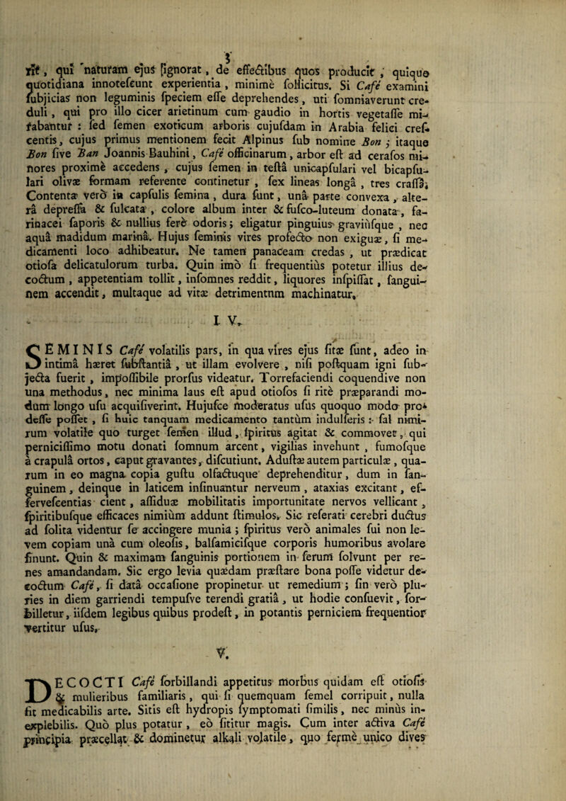 xle, qui 'naturam eju$ [ignorat, de effe&ibus quos producit , quique quotidiana innotefeunt experientia , minime foliicitus. Si Cafe examini lubjicias non leguminis fpeciem effe deprehendes, uti fomniaverunt cre¬ duli , qui pro illo cicer arietinum cum gaudio in hortis vegetafle mi- fabantur : led femen exoticum arboris cujufdam in Arabia felici cref* centis, cujus primus mentionem fecit Alpinus fub nomine Bon j itaque Bon five Ban Joannis Bauhini, Cafe officinarum, arbor eft ad cerafos mi¬ nores proxime accedens * cujus femen in tefta unicapfulari vel bicapfu- lari olivae formam referente continetur , fex lineas longa , tres craffai Contenta verd iti capfulis femina , dura fiint, una parte convexa , alte¬ ra deprefia & fulcata , colore album inter & fufco-luteum donata-, fa¬ rinacei faporis & nullius fere odoris; eligatur pinguium graviiifque , nec aqua madidum marina. Hujus feminis vires profe&o non exiguae, fi me¬ dicamenti loco adhibeatur. Ne tamen panaceam credas , ut praedicat otiofa delicatulorum turba. Quin imo fi frequentius potetur illius de* co&um , appetentiam tollit, infomnes reddit, liquores infpiflat, fanguU nem accendit, multaque ad vita: detrimentum machinatur, IV. SEMINIS Cafe volatilis pars, in qua vires ejus fitae funt, adeo in intima haeret fubftantia , ut illam evolvere , nifi poftquam igni fub- jeda fuerit , impoffibile prorfus videatur. Torrefaciendi coquendive non una methodus, nec minima laus eft apud otiofos fi rite praeparandi mo¬ dum longo ufu acquifiverint. Hujufce moderatus ufus quoquo modcr pro^ deffe poflet , fi huic tanquam medicamento tantum indulleris fal nimi¬ rum volatile quo turget femen illud, fpiritus agitat & commovet, qui perniciffimo motu donati fomnum arcent, vigilias invehunt , fumofque a crapula ortos, caput gravantes , difcutiunt, Aduftae autem particulae, qua¬ rum in eo magna copia guftu olfadluque deprehenditur, dum in fan- guinem, deinque in laticem infinuantur nerveum, ataxias excitant, ef- fervefeentias cient, affiduae mobilitatis importunitate nervos vellicant , fpiritibufque efficaces nimium addunt ftimulos, Sic referati cerebri du<ftus ad folita videntur fe accingere munia; fpiritus ver5 animales fui non le¬ vem copiam una cum oleofis, balfamieifque corporis humoribus avolare Enunt. Quin & maximam fanguinis portionem in ferum folvunt per re¬ nes amandandam. Sic ergo levia quadam praeftare bona poffe videtur de- codlum Cafe, fi data occafione propinetur ut remedium ; fin vero plu¬ ries in diem garriendi tempufve terendi gratia, ut hodie confuevit, for- feilletur, iifdem legibus quibus prodeft, in potantis perniciem frequentior ■vertitur ufus, DECOCTI Cafe forbillandi appetitus morbus quidam eft otlofT^ ^ mulieribus familiaris, qui fi quemquam femel corripuit, nulla fit medicabilis arte. Sitis eft hydropis lymptomati fimilis, nec minus in¬ explebilis. Quo plus potatur , eo fititur magis. Cum inter a&iva Cafe principia praecellat & dominetur alkali vojatile, quo ferme unico dive?
