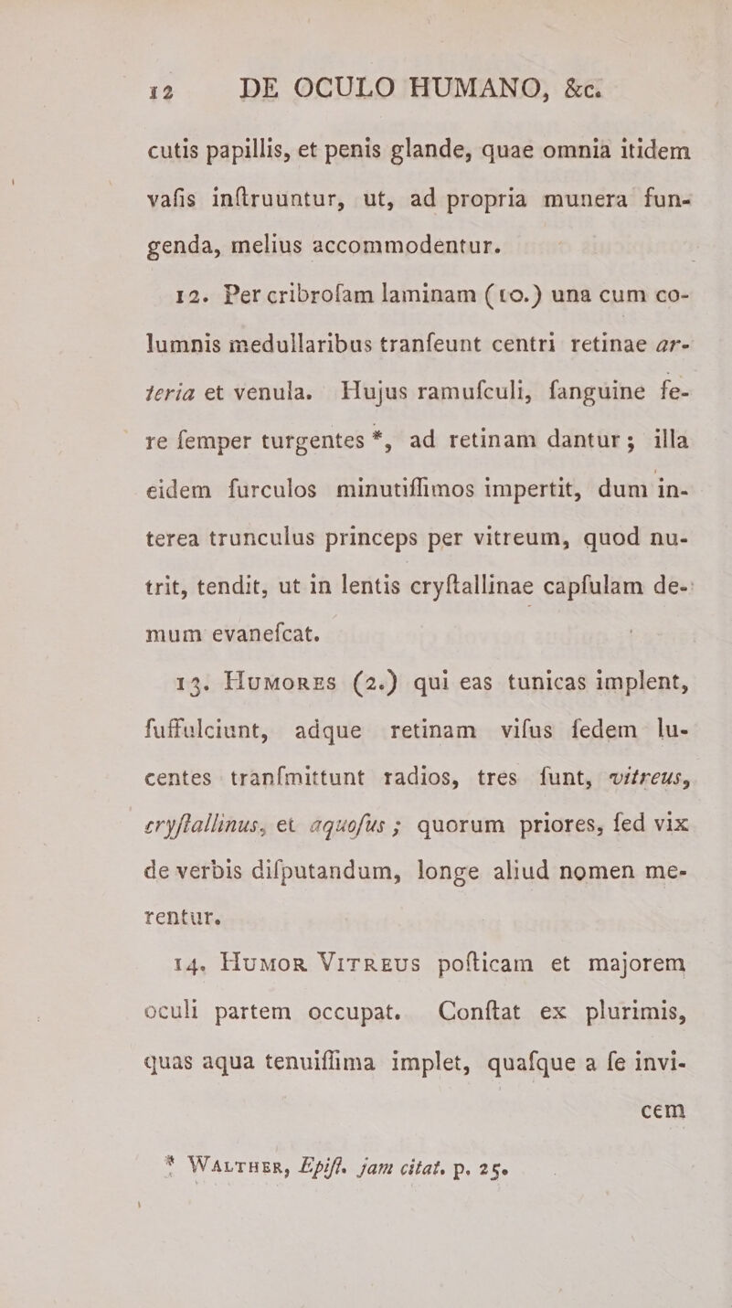 cutis papillis, et penis glande, quae omnia itidem vafis inflruuntur, ut, ad propria munera fun¬ genda, rnelius accommodentur. 12. Percribrofam laminam (io.) una cum co¬ lumnis medullaribus tranfeunt centri retinae ar¬ teria et venula. Hujus ramufculi, fanguine fe¬ re femper turgentes *, ad retinam dantur; illa t eidem furculos minutiflimos impertit, dum in¬ terea trunculus princeps per vitreum, quod nu¬ trit, tendit, ut in lentis cryflallinae capfulam de¬ mum evanefcat. 13. Humores (2,) qui eas tunicas implent, fuffulciunt, ad que retinam vifus fedem lu¬ centes tranfmittunt radios, tres funt, vitreus, eryjiailinus, et aquopus ; quorum priores, fed vix de verbis difputandum, longe aliud nomen me¬ rentur. 14. Humor Vitreus pofticam et majorem oculi partem occupat. Conflat ex plurimis, quas aqua tenuiflima implet, quafque a fe invi¬ cem * Walther, Epift* jam citat. p, 25.