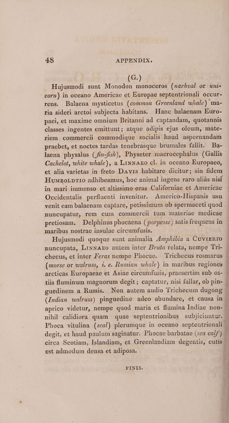 (G.) Hujusmodi sunt Monodon monoceros (narfvoal or mii- com) in oceano Americae et Europae septentrionali occur¬ rens. Balaena mysticetus (common Greenlancl xvhale) ma¬ ria sideri arctoi subjecta habitans. Hanc balaenam Euro¬ paei, et maxime omnium Britanni ad captandam, quotannis classes ingentes emittunt; atque adipis ejus oleum, mate¬ riem commercii commodique socialis haud aspernandam praebet, et noctes tardas tenebrasque brumales fallit. Ba¬ laena physalus (Jin-Jish), Physeter macrocephalus (Gallis Cachelot, vohite xuliale), a Linnaeo cl. in oceano Europaeo, et alia varietas in freto Davis habitare dicitur; sin fidem Humboldtio adhibeamus, hoc animal ingens raro alias nisi in mari immenso et altissimo oras Californiae et Americae Occidentalis perfluenti invenitur. Americo-Hispanis usu venit eam balaenam captare, potissimum ob spermaceti quod nuncupatur, rem cum commercii tum materiae medicae pretiosam. Delphinus phocaena (porpesse) satis frequens in maribus nostrae insulae circumfusis. Hujusmodi quoque sunt animalia Amphibia a CuviERro nuncupata, Linnaeo autem inter Bruta relata, nempe Tri- checus, et inter Feras nempe Phocae. Trichecus rosmarus (morse or walruss, i. e. Russian vohale) in maribus regiones arcticas Europaeae et Asiae circumfusis, praesertim sub os¬ tiis fluminum magnorum degit; captatur, nisi fallar, ob pin¬ guedinem a Russis. Non autem audio Trichecum dugong (Indian ivalruss) pinguedine adeo abundare, et causa in aprico videtur, nempe quod maria et flumina Indiae non¬ nihil calidiora quam quae septentrionibus subjiciuntur. Phoca vitulina \seal) plerumque in oceano septentrionali degit, et haud paulum saginatur. Phocae barbatae (sea calf) circa Scotiam, Islandiam, et Greenlandiam degentis, cutis est admodum densa et adiposa. finis.