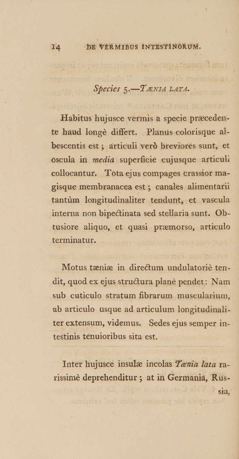 \ Species 5.—Tjenia lata. ...»i 1 ' ■ ' i i t --v. Habitus hujusce vermis a specie praeceden¬ te haud longe differt. Planus colorisque al¬ bescentis est; articuli vero breviores sunt, et oscula in media superficie cujusque articuli collocantur. Tota ejus compages crassior ma¬ gisque membranacea est; canales alimentarii tantum longitudinaliter tendunt, et vascula interna non bipedtinata sed stellaria sunt. Ob¬ tusiore aliquo, et quasi praemorso, articulo terminatur. Motus taeniae in diredtum undulatorie ten¬ dit, quod ex ejus strudtura plane pendet: Nam sub cuticulo stratum fibrarum muscularium, ab articulo usque ad articulum longitudinali¬ ter extensum, videmus. Sedes ejus semper in¬ testinis tenuioribus sita est. Inter hujusce insulae incolas Teetiia lata ra¬ rissime deprehenditur ; at in Germania, Rus- t sia,