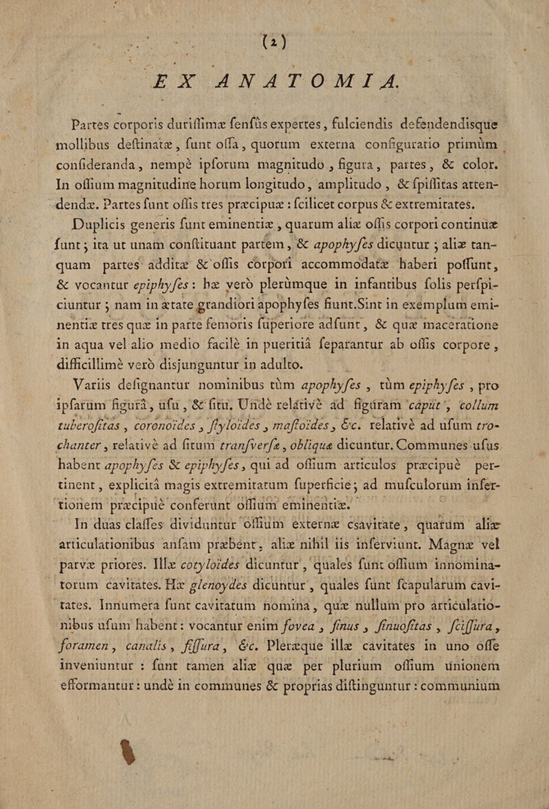 EX ANATOMI A. Partes corporis duriffimx fenfus expertes, fulciendis defendendisque mollibus deffinatae, funt offa, quorum externa configuratio primum confideranda, nempe ipforum magnitudo , figura, partes, Sc color. In offium magnitudine horum longitudo, amplitudo, & fpilfitas atten¬ dendae. Partes funt offis tres praecipuae: fcilicet corpus & extremitates. Duplicis generis funt eminentiae, quarum aliae olfis corpori continuae funt y ita ut unam conffituant partem, & apophyfes dicuntur } alias tan- quam partes additae & olfis corpori accommodatae haberi poliunt, &c vocantur epiphyfes: bae vero plerumque in infantibus folis perfpi- ciuntur j nam in xtate grandiori apophyfes fiunt.Sint in exemplum emi¬ nentiae tres quae in parte femoris fuperiore adfunt, & quae maceratione in aqua vel alio medio facile in pueritia feparantur ab olfis corpore, difficillime vero disjunguntur in adulto. Variis defignantur nominibus tum apophyfes , tum epiphyfes , pro ipfarum figura, ufu , &'fitu. Unde relative ad figuram caput , collum tuheroftas , coronoides flyloides mafioldesy &c. relative ad ufum tro¬ chanter , relative ad litum tranfverfa, obliqua dicuntur. Communes ufus habent apophyfes & epiphyfes, qui ad offium articulos praecipue per¬ tinent, explicita magis extremitatum fuperficiej ad mufculorum infer- tionem praecipue conferunt offium eminentiae. In duas clafies dividuntur offium externae csavitate, quarum aliae- articulationibus anfam praebent; aliae nihil iis inferviunt. Magnae vel parvae priores, lllx cotyldid.es dicuntur , quales funt offium innomina¬ torum cavitates. Hae glenoydes dicuntur , quales funt fcapularum cavi¬ tates. Innumera funt cavitatum nomina, quae nullum pro articulatio¬ nibus ufum habent: vocantur enim fovea , finus 3 finuoftas , fcijffura, foramen, canalis, fijfura, &c, Pleraeque illae cavitates in uno olle inveniuntur : funt tamen aliae quae per plurium offium unionem efformantur: unde in communes 8c proprias diffinguntur: communium