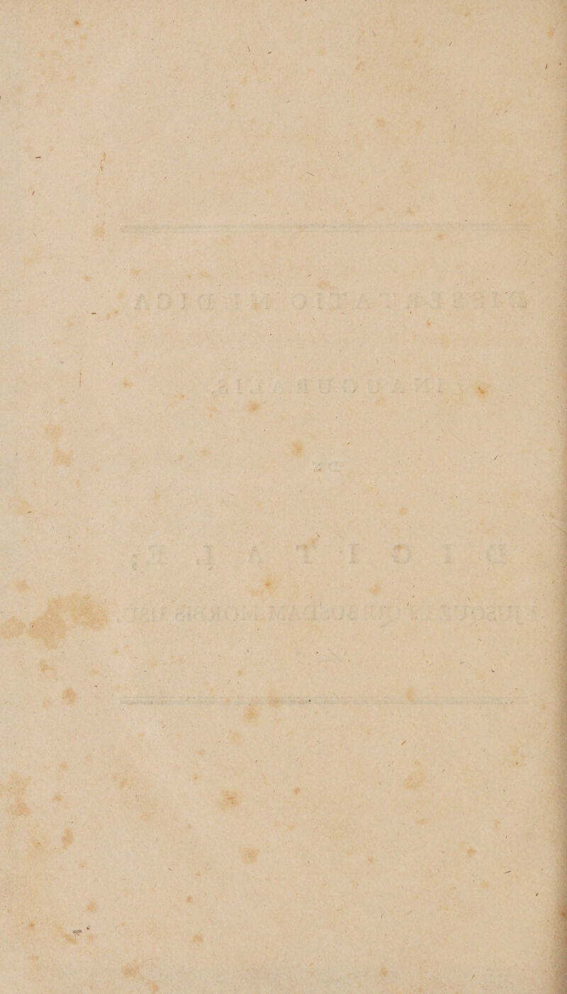 . / / » J i1 / / * ! ■ \ I t