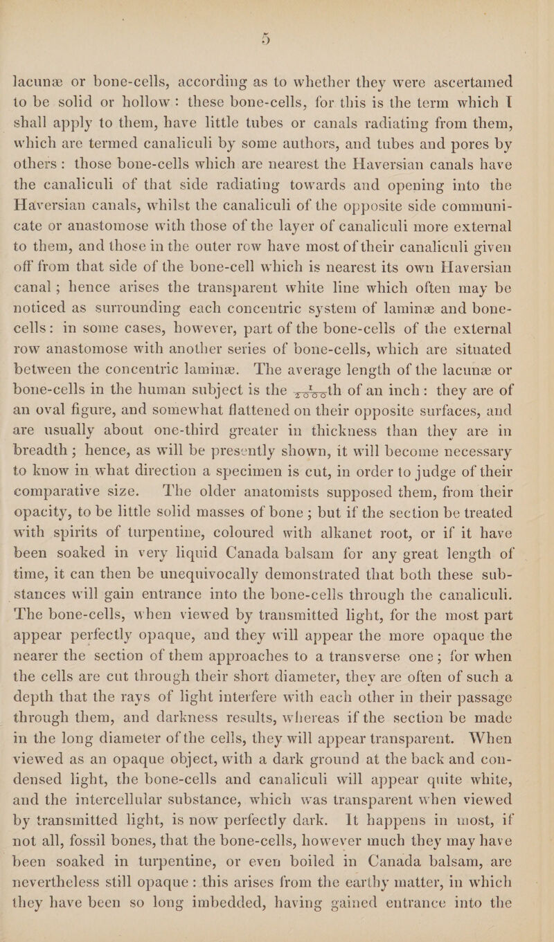 lacunae or bone-cells, according as to whether they were ascertained to be solid or hollow : these bone-cells, for this is the term which I shall apply to them, have little tubes or canals radiating from them, which are termed canaliculi by some authors, and tubes and pores by others : those bone-cells which are nearest the Haversian canals have the canaliculi of that side radiating towards and opening into the Haversian canals, whilst the canaliculi of the opposite side communi¬ cate or anastomose with those of the layer of canaliculi more external to them, and those in the outer row have most of their canaliculi given off from that side of the bone-cell which is nearest its own Haversian canal; hence arises the transparent white line which often may be noticed as surrounding each concentric system of laminae and bone- cells: in some cases, however, part of the bone-cells of the external row anastomose with another series of bone-cells, which are situated between the concentric laminae. The average length of the lacunae or bone-cells in the human subject is the s^^th of an inch : they are of an oval figure, and somewhat flattened on their opposite surfaces, and are usually about one-third greater in thickness than they are in breadth; hence, as wall be presently shown, it will become necessary to know in what direction a specimen is cut, in order to judge of their comparative size. The older anatomists supposed them, from their opacity, to be little solid masses of bone ; but if the section be treated with spirits of turpentine, coloured with alkanet root, or if it have been soaked in very liquid Canada balsam for any great length of time, it can then be unequivocally demonstrated that both these sub¬ stances will gain entrance into the bone-cells through the canaliculi. The bone-cells, when viewed by transmitted light, for the most part appear perfectly opaque, and they will appear the more opaque the nearer the section of them approaches to a transverse one ; for when the cells are cut through their short diameter, they are often of such a depth that the rays of light interfere with each other in their passage through them, and darkness results, whereas if the section be made in the long diameter of the cells, they will appear transparent. When viewed as an opaque object, with a dark ground at the back and con¬ densed light, the bone-cells and canaliculi will appear quite white, and the intercellular substance, which was transparent when viewed by transmitted light, is now perfectly dark. It happens in most, if not all, fossil bones, that the bone-cells, however much they may have been soaked in turpentine, or even boiled in Canada balsam, are nevertheless still opaque : this arises from the earthy matter, in which they have been so long imbedded, having gained entrance into the