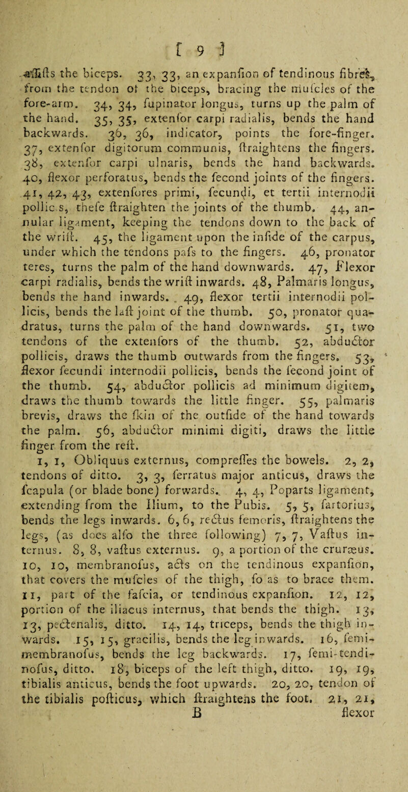 ■afhfis the biceps. 33, 33, an expanfion of tendinous fibre!, from the tendon ot the biceps, bracing the rriul'cles of the fore-arm. 34, 34, fupinator longus, turns up the palm of the hand. 35, 35, extenfor carpi radialis, bends the hand backwards. 36, 36, indicator, points the fore-finger. 37, extenfor digitorum communis, ftraightens the fingers. 38, extenfor carpi ulnaris, bends the hand backwards. 40, flexor perforates, bends the fecond joints of the fingers. 41, 42, 43, extenfores primi, fecuncji, et tertii internodii pollic s, thefe ftraighten the joints of the thumb. 44, an¬ nular ligament, keeping the tendons down to the back of the wrift. 45, the ligament upon the infide of the carpus, under which the tendons pafs to the fingers. 46, pronator teres, turns the palm of the hand downwards. 47, Flexor carpi radialis, bends the wrift inwards. 48, Palmaris longus, bends the hand inwards. . 49, flexor tertii internodii pol- licis, bends the 1 aft joint of the thumb. 50, pronator qua- dratus, turns the palm of the hand downwards. 51, two tendons of the extenfors of the thumb. 52, abdudtor pollicis, draws the thumb outwards from the fingers. 53, flexor fecundi internodii pollicis, bends the fecond joint of the thumb. 54, abductor pollicis ad minimum digitem, draws the thumb towards the little finger. 55, palmaris brevis, draws the fkin of the outfide of the hand towards the palm. 56, abdudtor minimi digiti, draws the little iincrer from the reft. O 1,1, Obliquus externus, comprefies the bowels. 2, 2, tendons of ditto. 3, 3, ferratus major anticus, draws the icapula (or blade bone) forwards.. 4, 4, Poparts ligament, extending from the Ilium, to the Pubis. 5, 5, fartorius, bends the legs inwards. 6, 6, redlus femoris, ftraightens the legs, (as does alfo the three following) 7, 7, Vaftus in¬ terims. 8, 8, vaftus externus. 9, a portion of the crurceus. 10, 10, membranofus, acts on the tendinous expanfion, that covers the mufcles of the thigh, fo as to brace them. 11, part of the fafeia, or tendinous expanfion. 12, 12, portion of the iliacus interims, that bends the thigh. 13, 13, pecfenalis, ditto. 14, 14, triceps, bends the thigh in¬ wards. 15, 15, gracilis, bends the leg in wards. 16, femi- membranofus, bends the leg backwards. 17, femi-tendi- no fus, ditto. 18, biceps of the left thigh, ditto. 19, 19, tibialis anticus, bends the foot upwards. 20, 20, tendon oi the tibialis pofticus, which ftraightens the foot. 21, 21, B flexor