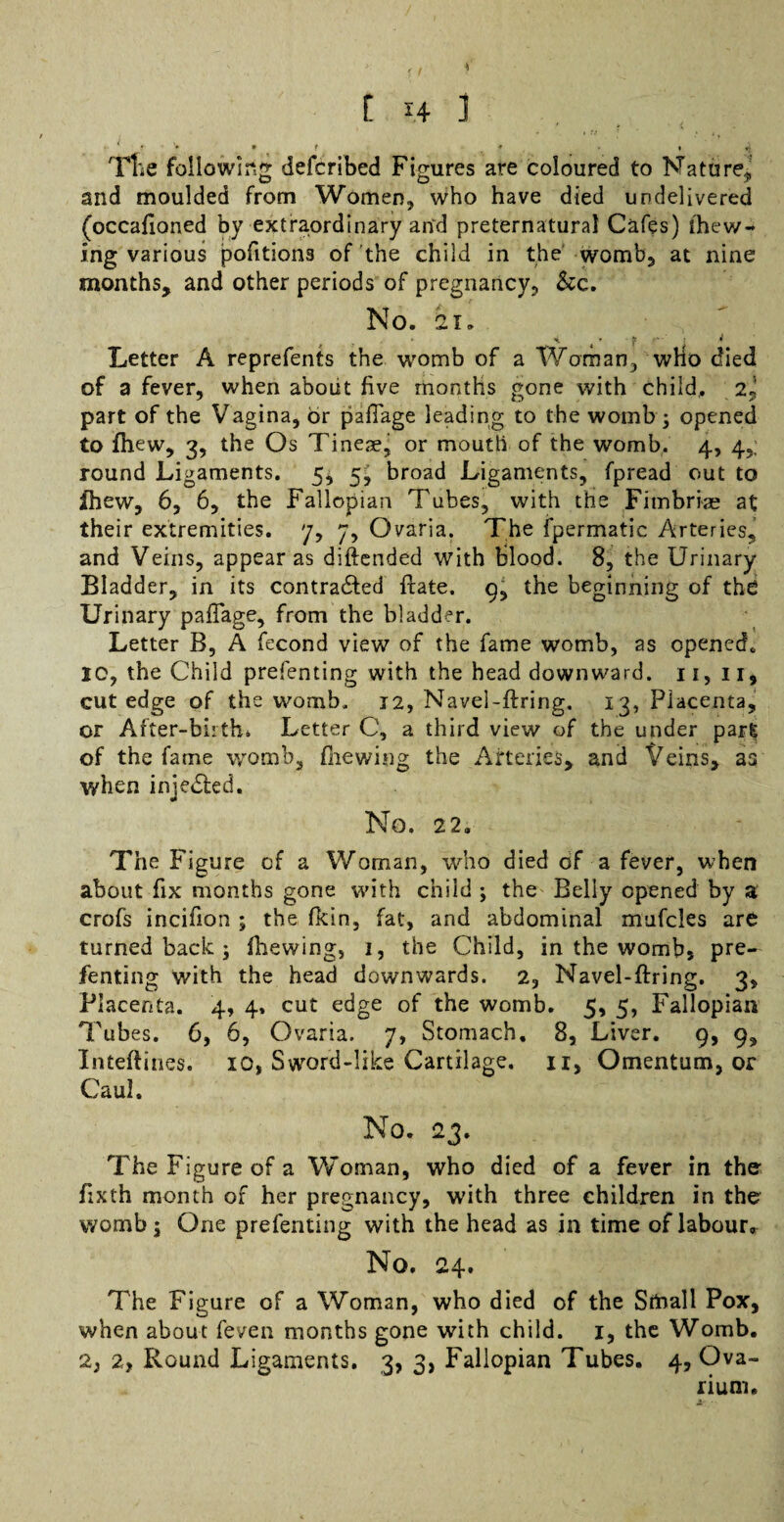 $ [ i4 i - j jt v * f * * Tlie following defcribed Figures are coloured to Nature* and moulded from Women, who have died undelivered (occafioned by extraordinary and preternatural Cafes) ihew- ing various pofitions of the child in the womb, at nine months, and other periods of pregnancy, &c. No. 21. Letter A reprefents the womb of a Woman, wlio died of a fever, when about five months gone with child. 2^ part of the Vagina, or pafiage leading to the womb ; opened to fhew, 3, the Os Tineaej or moutli of the womb. 4, 4,; round Ligaments. 5, 5^ broad Ligaments, fpread out to Ihew, 6, 6, the Fallopian Tubes, with the Fimbriae at their extremities, 7, 7, Ovaria. The fperm2tic Arteries, and Veins, appear as diftended with blood. 8, the Urinary Bladder, in its contradfed ftate. 9, the beginning of the Urinary pafiage, from the bladder. Letter B, A fecond view of the fame womb, as opened* 10, the Child prerenting with the head downward. 11, 11, cut edge of the womb. 12, Navel-firing. 13, Placenta, or After-birth. Letter C, a third view of the under par§ of the fame womb, fhewing the Arteries, and Veins, as when injedled. No. 22. The Figure of a Woman, who died of a fever, when about fix months gone with child ; the Belly opened by a crofs incifion ; the fkin, fat, and abdominal mufeies are turned back ; fhewing, 1, the Child, in the womb, pre- fenting with the head downwards. 2, Navel-firing. 3, Placenta. 4, 4. cut edge of the womb. 5, 5, Fallopian Tubes. 0, 6, Ovaria. 7, Stomach. 8, Liver. 9, 9, Inteftiues. 10, Sword-like Cartilage, ii, Omentum, or Caul. No. 23. The Figure of a Woman, who died of a fever in the fixth month of her pregnancy, with three children in the womb 1 One prefenting with the head as in time of labour. No. 24. The Figure of a Woman, who died of the Sfoall Pox, when about feven months gone with child. 1, the Womb. 2, 2, Round Ligaments. 3, 3, Fallopian Tubes. 4, Ova¬ rium.