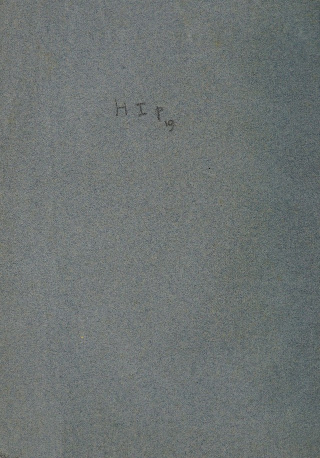 digitised image 2