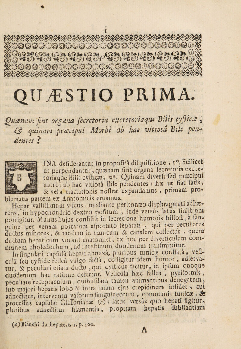 QUiESTIO PRIMA. Quanam fmt organa fecretorm excrctoriaque Bilis cyfttca ^ quinam pracipui Mothi ab has vitiosa BiU psu^ denus ? INA defiderantur iti propofita diiquifitione ; i®. Scilicet ut perpendantur 5 qtijenam fint organa fecretoria excre- toriaque Biiis cyltiese*, 2*^. Qainam diverli fed pr^cipui morbi ab hac vitiosa Bile pendentes : his ut fiat fatis, &vela tradationis nofirae expandamus , primam pro¬ blematis partem ex Anatomicis eruamus. ^ ^ Hepar vaftiffimum vifeus , mediante peritonaeo diaphragmati aaha^- rens, in hypochondrio dextro poficum , inde versiis latus finiftrum porrigitur. Munus hujus confiftit in fecretione humoris biliofl, a fan- giiine per venam portarum aiportato feparati , qui per peculiares dudus minores, & tandem in truncum Sc canalem colledos , quem dudom hepaticum vocant anatomici, ex hoc per diveTticuluni com- miinem choledochum , ad inteilinum duodenoni tranimittitur. Infingulari capfula hepati annexa, pluribus tunicis conflata 9 vefi- cula feu cyfiide fellea vulgo dida , colligitur idem humor , adferva- tur, & peculiari etiam dudii ,qui cyibeos dicitur, in ipfum quoque duodenum hac ratione deiertiir. Veficola h^c Fellea , pyriiormis, peculiare receptaculum, qoibufdan.i tamen animantibus denegatum, fub majori hepatis lobo intra imam ejus crepidinem infidet , cm adnedltur, interventu vaforumfanguineorum , communis tunicae,^ proceOus capfate Giiffoniaox G) ^ latus versus quo hepati figitur, pluribus adneditur filamentis, propriam. JiepaUs fubfiantiam - # (o}Bianchi da hepate, t. i. p. soe. A