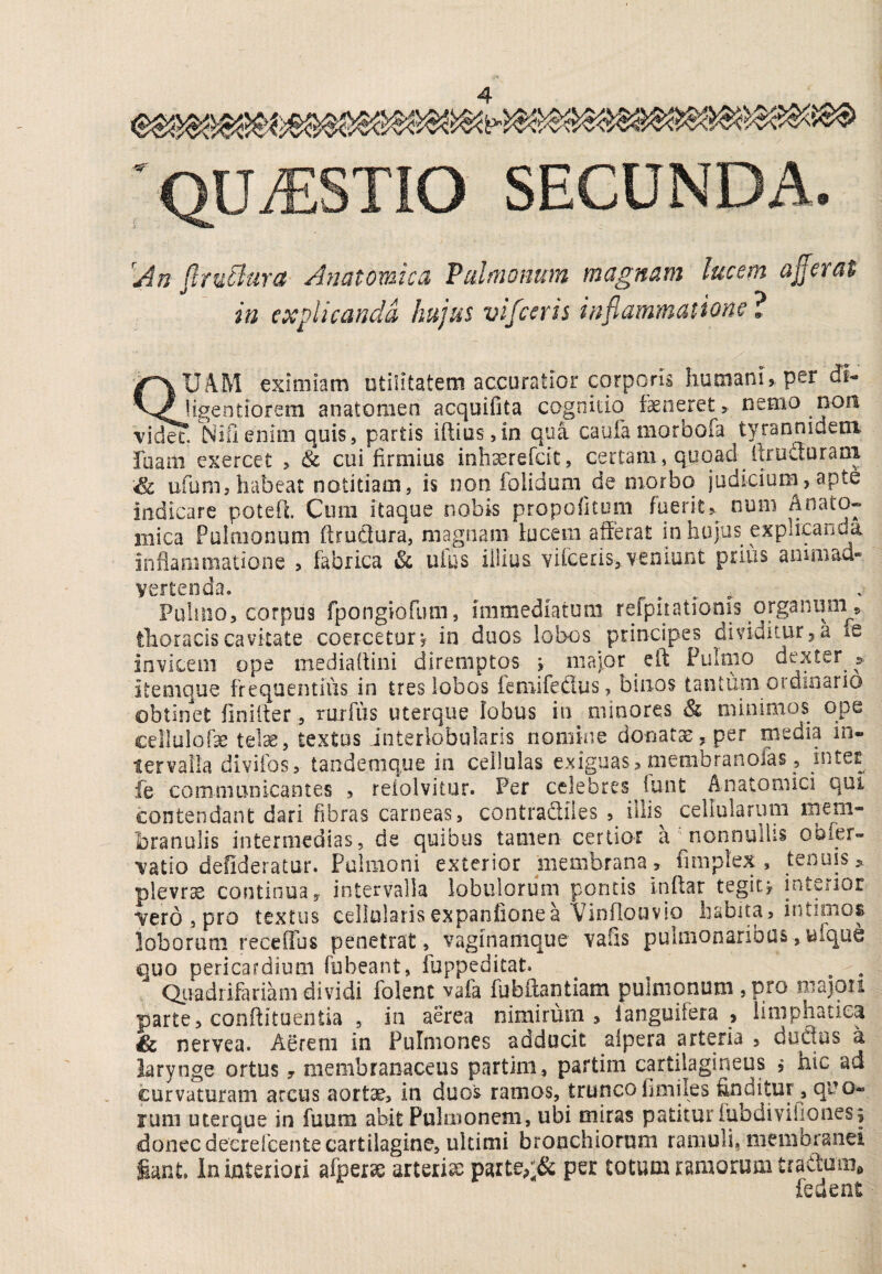 QU.ESTIO SECUNDA. flru^tira Anatomica Pulnwmm magnam lucem afferat ia explicanda hujus vifceris inflammatione ? eximiam utilitatem accuratior corporis humani, per dt- v^<£jigentiorem anatomen acquifita cognitio fseneretj nemo non vide?. Nirienim quis, partis iftiosjin qua caufamorbofa tyrannidem fuam exercet , 8c cui firmius inliserefcic, certam, quoad llruSurani ^ ufum, habeat notitiam, is non foiidum de morbo judicium, apte indicare potefe Cum itaque nobis propofitom f^erit^ num mica Pulmonum ftrutlura, magnam lucem afferat in hujus explicanda inflaniiiiatione > fabrica & ulus illius vifceris, veniunt prius animad* vertenda. ^ ^ Puliiio, corpus fpongiofum, immediatum refpiiationis organum» thoracis cavitate coercetur j in duos lobos principes dividitur, a ie invicem ope mediaftini diremptos v major ^ eft Pulmo dexter s. itemque frequentius in tres lobos femifeflus, binos tantuni oidinario obtinet finiiter, ruifus uterque lobus in minores & minimos ope cellulofie telse, textus interlobularis nomine donatas, per media in¬ tervalla divifosr tandemque in cellulas exiguas, membranofas, inter fe communicantes , reiolvitur. Per celebres funt Anatomici qui contendant dari fibras carneas, contraSiles , illis cellularum mem¬ branulis intermedias, de quibus tamen certior a nonnullis obfer- vatio defideratur. Pulmoni exterior membrana, fuiiplex , tenuis, plevr^ continua, intervalla lobulorum pontis inftar tegite interior vero, pro textus cellularis expanfione a'Vinflou vio habita, intimos loborum receffus penetrat, vaginamque vafis pulmonaribus,ufque quo pericardium fubeant, fuppeditat. ^ ^ , Qtiadiifariam dividi folent vafa fubftantiam pulmonum ,pro iiiajpu parte, conftituentia , in aerea nimirum , languifera > limphatiep & nervea. Aerem in Pulmones adducit aipera arteria , duflus a larynge ortus, membranaceus partini, partim cartilagineus 5 hic ad curvaturam arcus aortse, in duos ramos, trunco fimiles fcditur, quo¬ rum uterque in fuum abit Pulmonem, ubi miras patitur fubdivifiones5 donec decrefeente cartilagine, ultimi bronchiorum ramuli, membranei fiant. In interiori afperss arteria parte^iSi per totum ramorum tradom, ledent