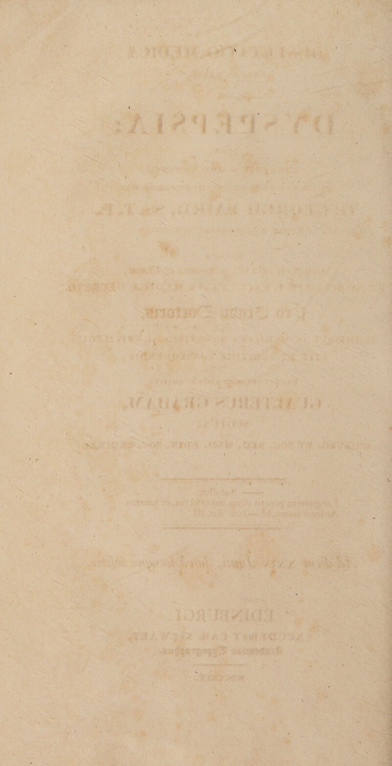 W- ' ■ v * • &lt;■' ■ ■ % .A