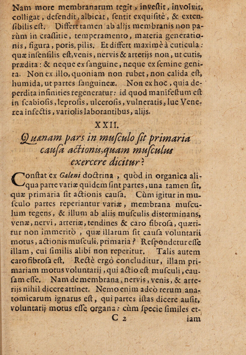 Nam more membranarum tegit , in^eftit, involvit* colligat, defendit, albicat, fentit exquifite , & extern fibilis eft, Differt tamen ab alrjs membranis non pa¬ rum in craffitie, temperamento, materia generatio¬ nis, figura, poris, pilis. Et differt maxime a cuticula: quae mfenfilis eft, venis, nervis & arterias non, ut cutis, praedita : & neque exfanguine, neque cxfemine geni¬ ta. Non ex villo, quoniam non rubet, non calida eft, humida, ut partes fianguineae. ^Non ex hoc , quia de¬ perdita infinities regeneratur: id quod manlfeftum eft in fcabiofiS jleprofis, ulcerofis, vulneratis^Jue Vene¬ rea infedis, variqlislaborantibus, alijs. XXI1,:: V Qjunam pars in mufculo Jit primaria caufa achonis-tquam mujculm exercere dicitur ? Conflat ex Galeni dodrina , quod in organica ali¬ qua parte variae quidem fintpartes, una tamen fit, quae primaria fit adionis caufa. Cum igitur in mu¬ fculo partes repedantur variae, membrana mufcu- lum tegens, & illum ab aliis mufculis disterminans, venae,nervi, arteriae,tendines & caro fibrofa, quaeri¬ tur non immerito , quae illarum fit caufa voluntarii motus, adionismufculi, primaria ? Refpondetur efle illam, cui fimilis alibi non repentur. Talis autem carofibrofa eft, Rede ergo concluditur, illam pri¬ mariam motus voluntarij ,qui adio eft mufquli ,eau- fameffe. Nam de membrana, nervis, vetiis, & arte- rijs nihil dicereattinet. Nemo enim adeo rerum ana¬ tomicarum ignarus eft, qui partes iftas dicere aufit, voluntarij motus effe organa; cum fpecie fimiles et-