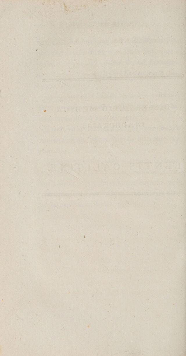 digitised image 2