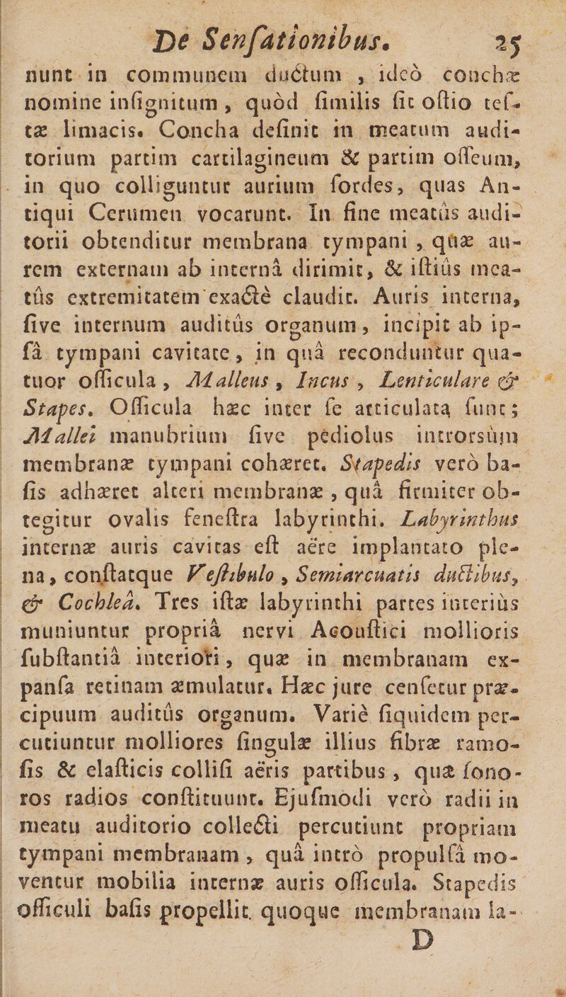 nunt ili communem duCtum , ideo conchae nomine infignitum , quod fimilis fit oftio tef- tae limacis. Concha definit in meatum audi¬ torium partim cartilagineum & partim odeum, in quo colliguntur aurium fordes, quas An¬ tiqui Cerumen vocarunt. In fine meatus audi¬ torii obtenditur membrana tympani , quae au¬ rem externam ab interna dirimit, & iftius mea¬ tus extremitatem exa<3e claudit. Auris interna, five internum auditus organum, incipit ab ip- fa tympani cavitate, in qua reconduntur qua- tuor ofiicula , Adalleus , Incus , Lenticulare & Stapes. Ofiicula haec inter fe articulata fime; Alallei manubrium five pedi olus introrsum membrana? tympani cohaeret. Stapedis vero ba- fis adhaeret alcen membranae , qua firmiter ob¬ tegitur ovalis feneftra labyrinthi. Labyrinthus internae auris cavitas eft aere implantato ple¬ na, confiatque VeJhMo , Semiarcuatis duBibusy & Cochlea. Tres iftae labyrinthi partes interius muniuntur propria nervi Acouftici mollioris fubftantia interiori, quae in membranam ex- panfa retinam aemulatur. Haec jure cenfetur pr^. cipuum auditus organum. Varie fiquidem per¬ cutiuntur molliores fingulae illius fibrae ramo- fis & elafticis collifi aeris partibus, quat fono- ros radios conftituunt. Ejufmodi vero radii in meatu auditorio colle£li percutiunt propriam tympani membranam > qua intro propulfa mo¬ ventur mobilia internae auris ofiicula. Stapedis ofiiculi bafis propellit, quoque membranam la-