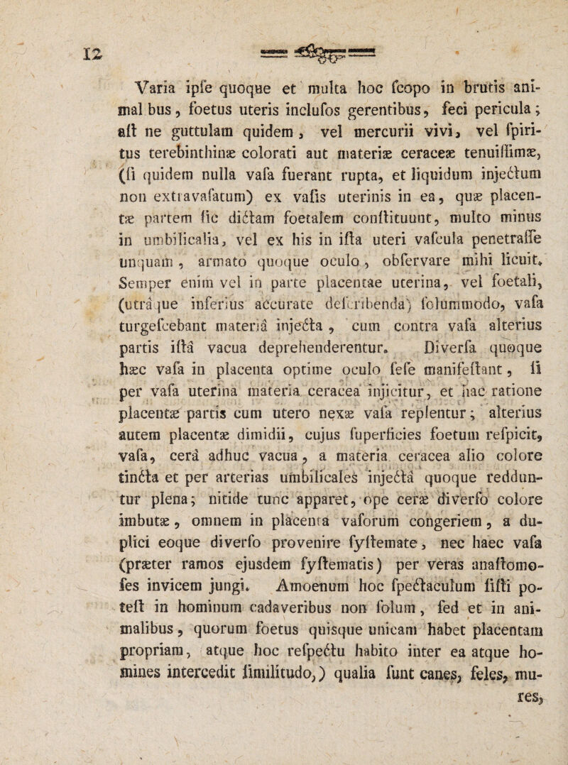 Varia ipie quoque et multa lioe fcopo in brutis ani¬ mal, bus, foetus uteris inclufos gerentibus, feci pericula; ait ne guttulam quidem, vel mercurii vivi, vel fpiri- tus terebinthinae colorati aut materiae ceraceae tenuifiimae, (fi quidem nulla vafa fuerant rupta, et liquidum injedtum non extravafatum) ex valis uterinis in ea, quae placen¬ tae partem fic diitam foetalem conflituunt, multo minus in umbilicalia, vel ex his in illa uteri vafcula penetraffe unquam, armato quoque oculo, ob fer vare mihi licuit* Semper enim vel in parte placentae uterina, vel foetali, (utra que inferius accurate defcribenda) fol urum odo, vafa turgefcebant materia injedta , cum contra vafa alterius partis ilta vacua deprehenderentur» Diverfa quoque haec vafa in placenta optime oculo fefe manifeftant, ii per vafa uterina materia ceracea injicitur , et hac ratione placentae parris cum utero nexae vafa replentur; alterius autem placentae dimidii, cujus fuperiicies foetum refpicit, vafa, cera adhuc vacua, a materia ceracea alio colore tindta et per arterias umbilicales 'injedta quoque reddun¬ tur plena; nitide tunc apparet, ope cerae diverfa colore imbutae, omnem in placenta vaforum congeriem, a du¬ plici eoque diverfo provenire fyltemate, nec haec vafa (praeter ramos ejusdem fyftematis) per veras anaftomo- fes invicem jungi. Amoenum hoc fpeftaculum fifti po- teft in hominum cadaveribus non folum, fed et in ani¬ malibus, quorum foetus quisque unicam habet placentam propriam, atque hoc reipe&tu habito inter ea atque ho¬ mines intercedit iiniilitudo,) qualia fimt canes, feles, mu¬ res,