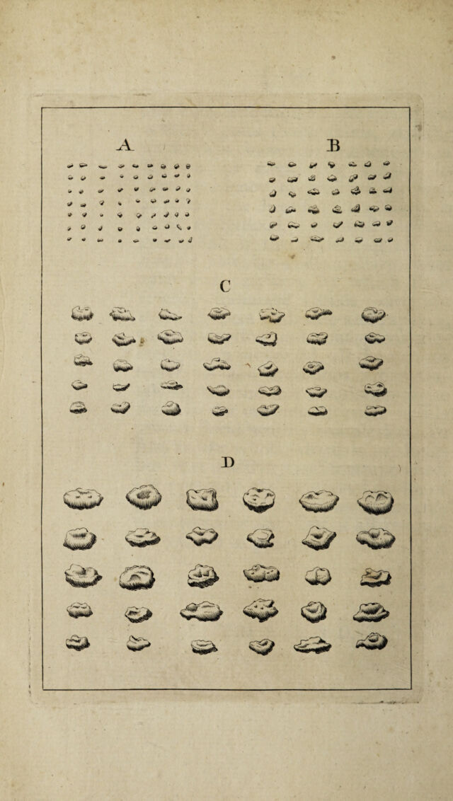 digitised image 2