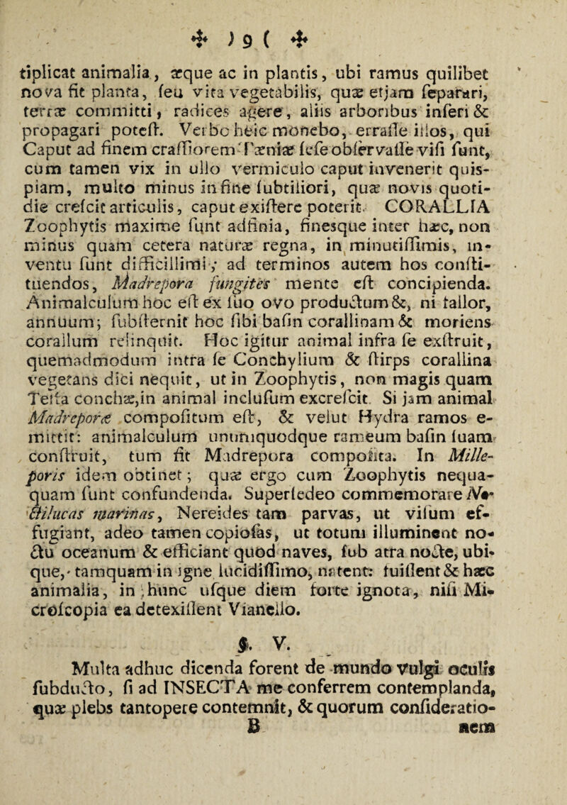 tiplicat animalia, aeque ac in plantis, ubi ramus quilibet nova fit planta, feu vita vegetabilis, quae etjaru feparari, terra: committi, radices agere, aliis arboribus inferi & propagari potefh Vetbc heic monebo, erralle illos, qui Caput ad finem crafliorem Vxnitt fefeobfervalle vifi funt, cum tamen vix in ullo vermiculo caput invenerit quis¬ piam, multo minus in fine fubtiliori, qua? novis quoti¬ die crefeie articulis, caput exifterc poterit. CORALLIA Zoophytis maxime funt adfinia, finesque inter ha;c, non minus quam cetera naturas regna, in minutiffimis, in¬ ventu funt difficillimi ,* ad terminos autem hos confli- tuendos, bladrepora fungites mente efl concipienda. Animalculum hoc efl: ex iuo ovo produ£tum&, ni tailor, annuum; fubilernit hoc libi bafin coraliinam& moriens coralium relinquit. Hoc igitur animal infra fe exflruit, quemadmodum intra fe Conchylium & fiirps coraliina vegetans dici nequit, ut in Zoophytis, non magis quam Telta concha?,in animal inclufum excrefcit Si jam animal Madrcportf compofitum eft, & velut Hydra ramos e- imctit: animalculum unumquodque rameum bafin luam conflruit, tum fit Madrepora compotita. In Mille- pons idem obtinet; quae ergo cum Zoophytis nequa¬ quam funt confundenda. Superfedeo commemorare Ner »mhteas marinas. Nere i des tam parvas, ut vifum ef¬ fugiant, adeo tamen copiofas, ut totum illuminent no* £tu oceanum & efficiant quod naves, fub atra nocte, ubi¬ que,- tamquam in igne luridiffimo, natent: tuifient& haec animalia, in ;hunc ufque diem forte ignota, nifi Mi- croicopia eadetexillent Vianciio. §. V. Multa adhuc dicenda forent de mundo Vulgi oculis fubducto , fi ad INSECTA me conferrem contemplanda, qua: plebs tantopere contemnit, & quorum confiderado- 8 mm