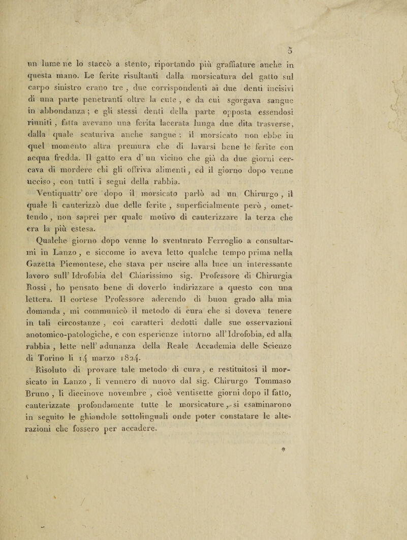 un lume ne lo staccò a stento, riportando più graffiature anche in questa mano. Le ferite risultanti dalla morsicatura del gatto sul carpo sinistro erano tre , due corrispondenti ai due denti incisivi di una parte penetranti oltre la cute , e da cui sgorgava sangue in abbondanza ; e gli stessi denti della parte opposta essendosi riuniti, fatta avevano ima ferita lacerata lunga due dita trasverse, dalla quale scaturiva anche sangue : il morsicato non ebbe in quel momento altra premura che di lavarsi bene le ferite con acqua fredda. Il gatto era d’ un vicino che già da due giorni cer¬ cava di mordere chi gli offriva alimenti, ed il giorno dopo venne ucciso , con tutti i segni della rabbia. Ventiquattr’ ore dopo il morsicato parlò ad un Chirurgo , il quale li cauterizzò due delle ferite , superficialmente però , omet¬ tendo , non saprei per quale motivo di cauterizzare la terza che era la più estesa. Qualche giorno dopo venne lo sventurato Ferroglio a consultar¬ mi in Lanzo , e siccome io aveva letto qualche tempo prima nella Gazetta Piemontese, che stava per uscire alla luce un interessante lavoro sull’ Idrofobia del Chiarissimo sig. Professore di Chirurgia Rossi , ho pensato bene di doverlo indirizzare a questo con una lettera. Il cortese Professore aderendo di buon grado alla mia domanda , mi communicò il metodo di cura che si doveva tenere in tali circostanze , coi caratteri dedotti dalle sue osservazioni anotomico-patologiche, e con esperienze intorno all’Idrofobia, ed alla rabbia , lette nell’ adunanza della Reale Accademia delle Scienze di Torino li i/\ marzo iS24- Risoluto di provare tale metodo di cura , e restituitosi il mor¬ sicato in Lanzo , li vennero di nuovo dal sig. Chirurgo Tommaso Bruno , li diecinove novembre , cioè ventisette giorni dopo il fatto, cauterizzate profondamente tutte le morsicature, si esaminarono in seguito le ghiandole sottolinguali onde poter constatare le alte¬ razioni che fossero per accadere. ~\