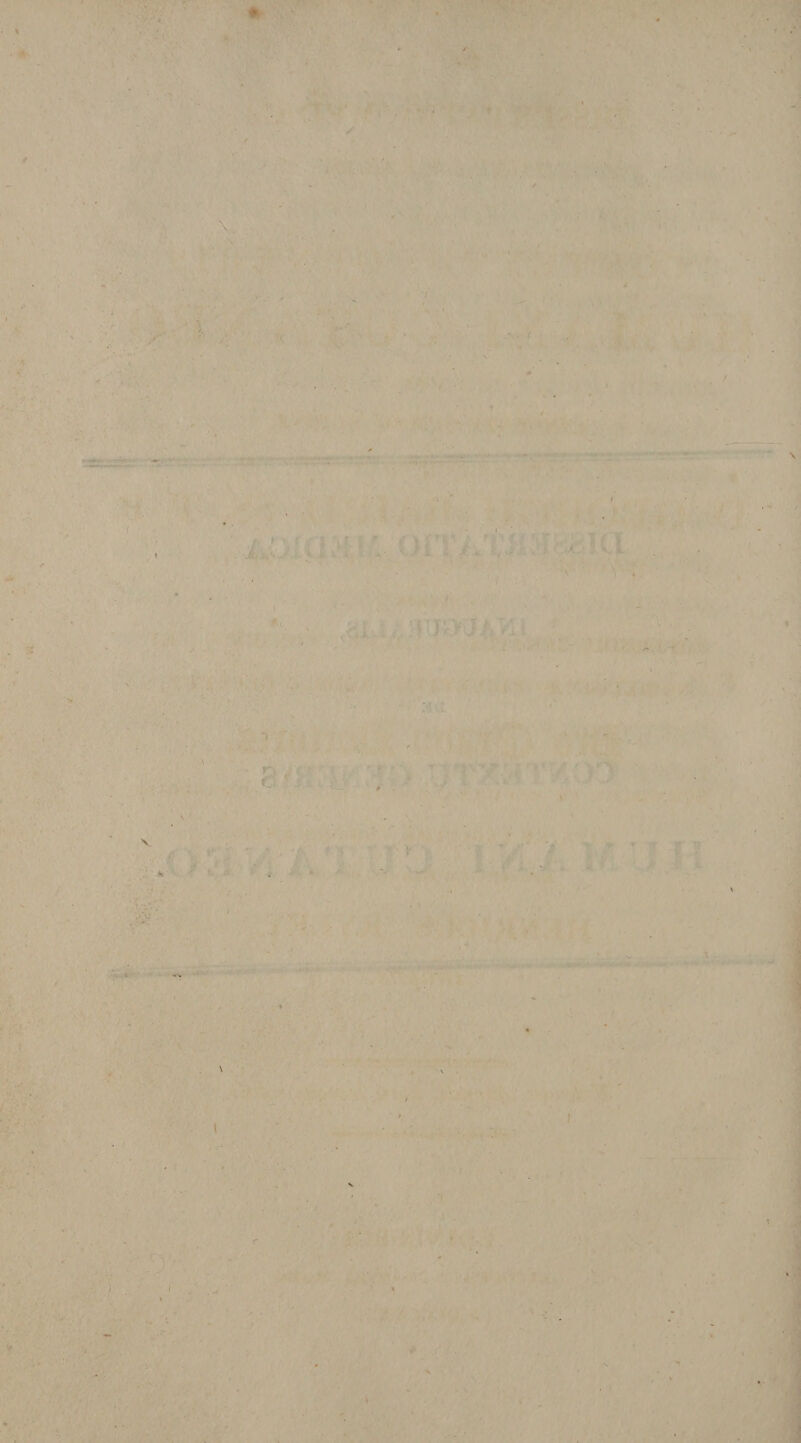 • * * • ... . !■ . 'i H • ' • 1 ; * • ■ ■' ■ i ■