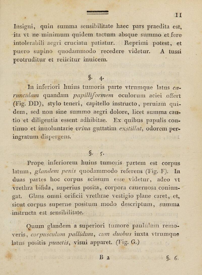 Insigni, quin summa sensibilitate haec pars praedita est, ita vt ne minimum quidem tactum absque summo et fere intolerabili aegri cruciatu patiatur. Reprimi potest * et puero supino quodammodo recedere videtur. A tussi protruditur et reiicitur inuicem. §• 4* I11 inferiori huius tumoris parte vtrumque latus ca¬ runculam quandam papilliformem oculorum aciei offert (Fig. DD), stylo teneri, capitello instructo, peruiam qui¬ dem, sed non sine summo aegri dolore, licet summa cau¬ tio et diligentia essent adhibitae. Ex quibus papulis con¬ tinuo et inuoluntarie vrinci guttatim exstillat, odorem per¬ ingratum dispergens. ; §• i- Prope inferiorem huius tumoris partem est corpus latum, glandem penis quodammodo referens (Fig. F). In duas partes hoc corpus scissum esse videtur, adeo vt vrethra bifida, superius posita, corpora cauernosa coniun- gat. Glans omni orificii vrethrae vestigio plane caret, et, sicut corpus superne positum modo descriptum, summa instructa est sensibilitate. Quum glandem a superiori tumore paululum remo¬ veris, corpusculum pallidum, cum duobus iuxta vtrumque latus positis punctis, visui apparet. (Fig. G.)