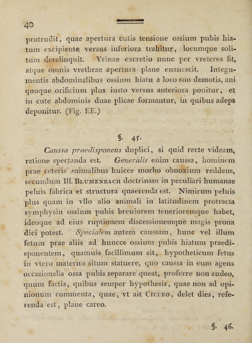 protrudit, quae apertura cutis tensione ossium pubis hia¬ tum excipiente versus inferiora trahitur, locumque soli¬ tum derelinquit. Vrinae excretio nunc per vreteres fit, atque omnis vrethrae apertura plane euanescit. Integu¬ mentis abdominalibus ossium hiatu a loco suo demotis, ani quoque orificium plus insto versus anteriora ponitur, et * i in cute abdominis duae plicae formantur, in quibus adeps deponitur. (Fig. EE.) „ i ... . • • • > §• 4f- • «• - > Caussa praedisponens duplici, si quid recte videam, ratione spectanda est. Generalis enim caussa, hominem prae celeris animalibus huicce morbo obnoxium reddens, secundum 111. Blumenbach doctrinam in peculiari humanae peluis fabrica et structura quaerenda est. Nimirum peluis plus quam in vllo alio animali in latitudinem protracta symphysin ossium pubis breuiorem tenerioreinque habet, ideoque ad eius ruptionem discessionemque magis prona dici potest. Specialem autem caussam, hunc vel illum fetum prae aliis ad huncce ossium pubis hiatum praedi- sponentem, quamuis facillimum sit, hypotheticum fetus in vtero materno situm statuere, quo caussa in eum agens occasionalis ossa pubis separare queat, proferre non audeo, quum factis, quibus semper hypothesis, quae non ad opi¬ nionum commenta, quae, vt ait Cicero, delet dies, refe¬ renda est, plane careo. §. 46.