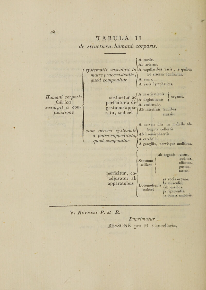 TABULA II de structura humani corporis. A corde. Ab arteriis. f systematis vasculosi in A capillaribus vasis , e quibus matre praeexistentis , j tot viscera conflantur. quod componitur fA venis. f A vasis lymphaticis. Humani corporis fabrica exsurgit a con¬ junctione f A masticationis ) sustinetur ac|A d lutitionis perficitur a di- A Tentricillo. gestionis appa-i ^ jntesiiujs tenuibus, ratu, scilicet j crassis. ^ A nerveis filis in rnidulla ob- cum nerveo systemate^ longata collectis. a patre suppeditato)Ab hemisphaeriis. v quod componitur )A cerc^ell°- * * A ganglus, nervisque mollibus. Sensuum j scilicet ab organis visus. auditus. olfactus. gustus. tactus. perficitur, co¬ adjuvatur ab : i a vocis organo, appara tubus Lo<.omotionis musculis, ... <ab ossibus, sci icet i ligamentis. f a bursis mucosis. V. Reyneri P. et R. Imprimatur , BESSONE pro M. Cancellaria.