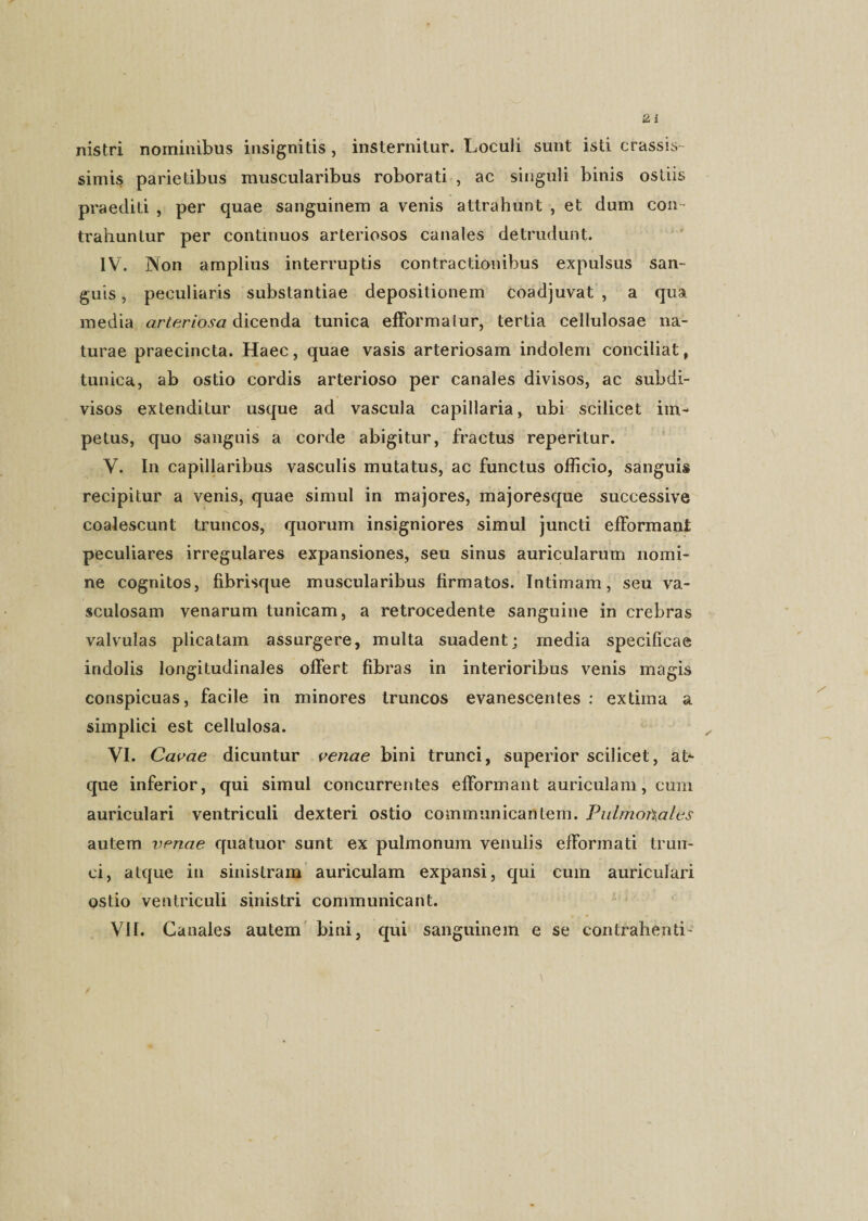 nistri nominibus insignitis , insternitur. Loculi sunt isti crassis¬ simis parietibus muscularibus roborati , ac singuli binis ostiis praediti , per quae sanguinem a venis attrahunt , et dum con¬ trahuntur per continuos arteriosos canales detrudunt. IV. Non amplius interruptis contractionibus expulsus san¬ guis , peculiaris substantiae depositionem coadjuvat , a qua media arteriosa dicenda tunica efformalur, tertia cellulosae na¬ turae praecincta. Haec, quae vasis arteriosam indolem conciliat, tunica, ab ostio cordis arterioso per canales divisos, ac subdi- visos extenditur usque ad vascula capillaria, ubi scilicet im¬ petus, quo sanguis a corde abigitur, fractus reperitur. V. In capillaribus vasculis mutatus, ac functus officio, sanguis recipitur a venis, quae simul in majores, majoresque successive coalescunt truncos, quorum insigniores simul juncti efFormant peculiares irregulares expansiones, seu sinus auricularum nomi¬ ne cognitos, fibrisque muscularibus firmatos. Intimam, seu va¬ sculosam venarum tunicam, a retrocedente sanguine in crebras valvulas plicatam assurgere, multa suadent; media specificae indolis longitudinales offert fibras in interioribus venis magis conspicuas, facile in minores truncos evanescentes : extima a simplici est cellulosa. VI. Cavae dicuntur venae bini trunci, superior scilicet, aL que inferior, qui simul concurrentes efformant auriculam, cum auriculari ventriculi dexteri ostio communicantem. Pulmonales autem venae quatuor sunt ex pulmonum venulis efformati trun¬ ci, atque in sinistram auriculam expansi, qui cum auriculari ostio ventriculi sinistri communicant. VII. Canales autem bini, qui sanguinem e se contrahenti'