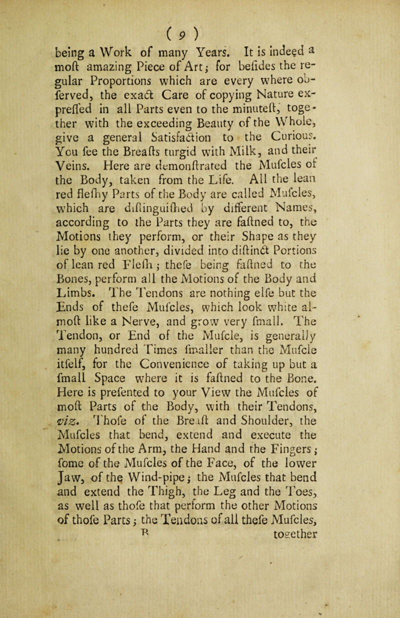 being a Work of many Years. It is indeed a mod amazing Piece of Art,- for befides the re¬ gular Proportions which are every where ob- ferved, the exad Care of copying Nature ex- preffed in all Parts even to the minuted, toge¬ ther with the exceeding Beauty of the Whole, give a general Satisfaction to the Curious. You fee the Breads turgid with Milk, and their Veins. Here are demondrated the Mufcles of the Body, taken from the Life. All the lean red flefhy Parts of the Body are called Mufcles, which are didinguifried by different Names, according to the Parts they are fadned to, the Motions they perform, or their Shape as they lie by one another, divided into didinCt Portions of lean red Flefh thefe being fadned to the Bones, perform all the Motions of the Body and Limbs. The Tendons are nothing elfe but the Ends of thefe Mufcles, which look white ai¬ med like a Nerve, and grow very fmall. The Tendon, or End of the Mufcle, is generally many hundred Times fmaller than the Mufcle itfelf, for the Convenience of taking up but a fmall Space where it is fadned to the Bone. Here is prefented to your View the Mufcles of mod Parts of the Body, with their Tendons, viz. Thole of the Bread and Shoulder, the Mufcles that bend, extend and execute the Motions of the Arm, the Hand and the Fingers,* feme of the Mufcles of the Face, of the lower Jaw, of the Wind-pipe the Mufcles that bend and extend the Thigh, the Leg and the Toes, as well as thofe that perform the other Motions of thofe Parts; the Tendons of all thefe Mufcles, v' together