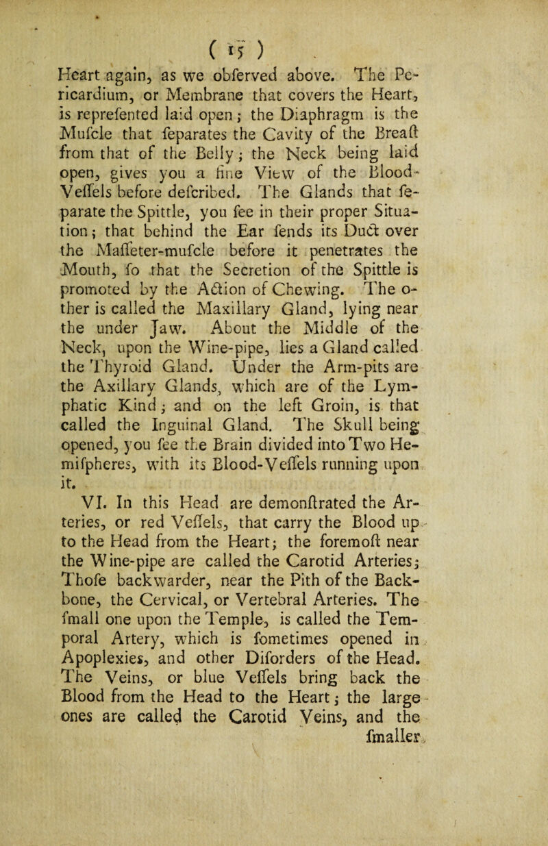 ( ) Heart again, as we obferved above. The Pe¬ ricardium, or Membrane that covers the Heart, is reprefented laid open ,* the Diaphragm is the Mufcle that feparates the Cavity of the Breaft from that of the Belly; the Neck being laid open, gives you a tine View of the Blood- Veffels before defcribed. The Glands that fe- parate the Spittle, you fee in their proper Situa¬ tion; that behind the Ear fends its Dud over the Mafieter-mufcle before it penetrates the Mouth, fo that the Secretion of the Spittle is promoted by the Adion of Chewing. The o~ ther is called the Maxillary Gland, lying near the under Jaw. About the Middle of the Neck, upon the Wine-pipe, lies a Gland called the Thyroid Gland. Under the Arm-pits are the Axillary Glands, which are of the Lym¬ phatic Kind; and on the left Groin, is that called the Inguinal Gland. The Skull being opened, you fee the Brain divided into Two He- mifpheres, with its Blood-Veffels running upon it. VI. In this Head are demonftrated the Ar¬ teries, or red Veffels, that carry the Blood up to the Head from the Heart; the foremofl: near the Wine-pipe are called the Carotid Arteries; Thofe backwarder, near the Pith of the Back¬ bone, the Cervical, or Vertebral Arteries. The fmall one upon the Temple, is called the Tem¬ poral Artery, which is fometimes opened in Apoplexies, and other Diforders of the Head. The Veins, or blue Veffels bring back the Blood from the Head to the Heart; the large ones are called the Carotid Veins, and the fmaller