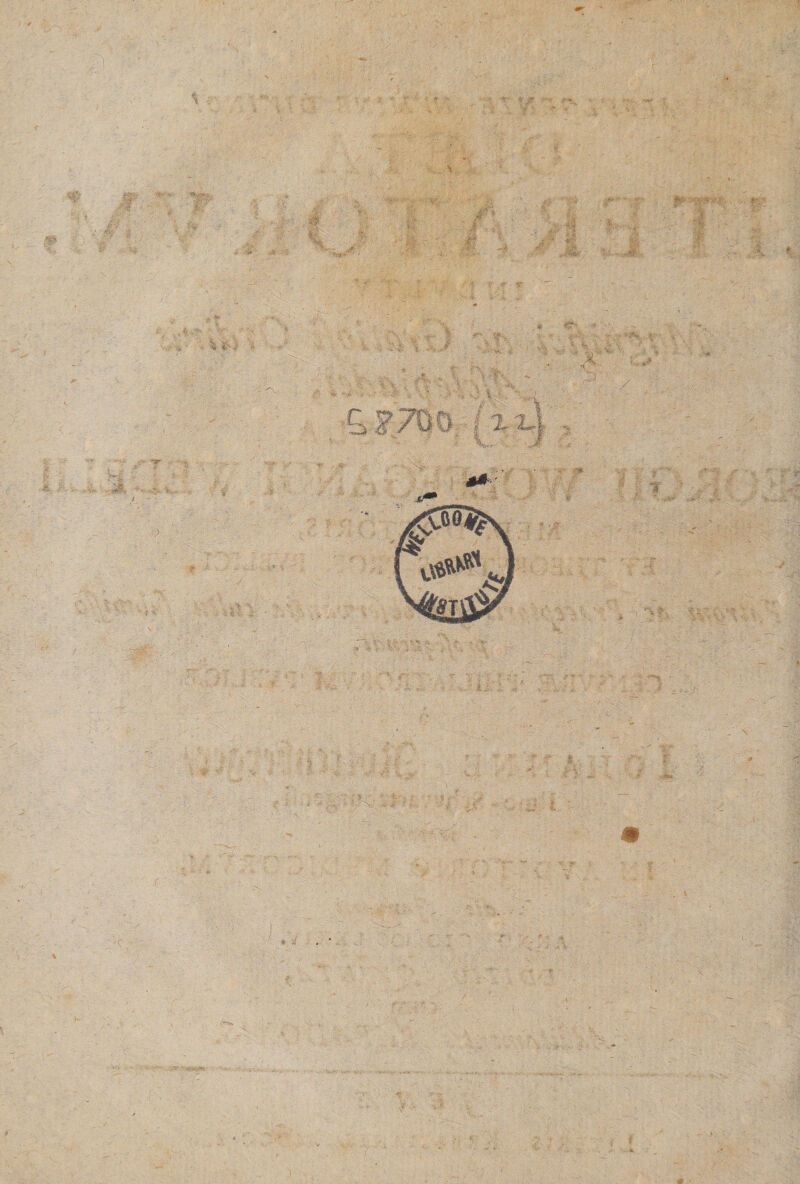 tf “ f $ J i ..., > • ,/ ' i I ■ 'C , > . . . .. . -i»* ^ - •» >.,w -