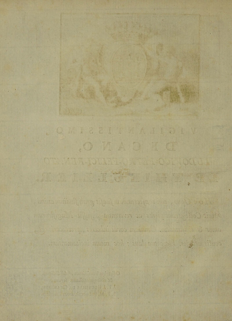 • » }. ' ' • &lt; y K- ' ’ Iv $ '■■ i t . * &gt;• S N&lt; ' • • ' • . &gt;• • ' “4: \ f *• w- ■- K ■ &amp;■-■ v;K; . 1 ,1 r /• i'&gt;V ■ , v -.0* 4nw. rt •i &lt;* ' ? ' * ' .i r: r y wL r ■ f» ■ ^ -V . V^h. / •* y ■i * ■ . o - .**■■ •* . \ . 4. •-* ... .. , ■  •«.- ♦ ••' • H ■ ; • • ' * . .,••■• 1 ■ V -..y-jkj* ^ 1 • ■»- • * «. w-y. \ • &gt;-4 . ‘ *. i *- $ i.J •' k.*i , ■ vV • 'Jt . &gt; f-\ , ^ f - &lt;„•. &gt; •■ t » ' .• &gt; • . ' v ■' ». ! 1 • 1 ' ' , 1 ? * » . v. o « * T &gt; ' ••' • • 'r r , f -i» • 1 • • * ' » -m ■ * » • , . w . . o • M t V ' L« I - J ^ J I ' v' J N* - . ^ i t 4. • n . &gt; • ’ , . -A ■ 1 , ’ . ' A „ „ \ ' t V - . - * ,' v.. : ‘ :i\ r . • *&lt; .. r . . ' - i ' V' / ... ■ - V?I '■ * v -• \ * &gt; - . j i . .4 •■. - i ? - - - i,': o*/ r ; • , - • ' i » f v r . f ;* . ! . \ ■ , 1 4 . \ / (. ■ •» ' -