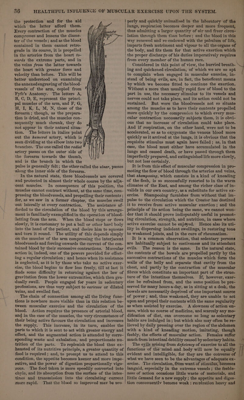 the protection and for the aid which the latter afford them. Every contraction of the muscles compresses and lessens the diame- ter of the vessels ; and as the blood contained in them cannot retro- grade in its course, it is propelled in the arteries from the heart to- wards the extreme parts, and in the veins from the latter towards the heart with greater force and velocity than before. This will be better understood on examining the annexed engraving of the blood- vessels of the arm, copied from Fyfe’s Anatomy. The letters A, B, C, D, E, represent the princi- pal muscles of the arm, and F, G, H, I, K, L, M, N, those of the forearm ; though, as the prepara- : tion is dried, and the muscles con- | sequently much shrunk, they do not appear in their natural situa- tion. The letters in italics point out the humeral artery, which is /7 seen dividing at the elbow into two [74 branches. The one called the radial artery passes on the outer side of the forearm towards the thumb, and is the branch in which the pulse is generally felt ; the other called the ulnar, passes ‘along the inner side of the forearm. In the natural state, these bloodvessels are covered and protected in almost their whole course by the adja- cent muscles. In consequence of this position, the muscles cannot contract without, at the same time, com- pressing the bloodvessels, and propellin g their contents ; for, as we saw in a former chapter, the muscles swell out laterally at every contraction. The assistance af- forded to the circulation of the blood by this arrange- ment is familiarly exemplified in the operation of blood- letting from the arm. When the blood stops or flows slowly, it is customary to put a ball or other hard body into the hand of the patient, and desire him to squeeze and turn it round. The utility of this depends simply on the muscles of the arm compressing the interjacent ‘bloodvessels and forcing onwards the current of the con- tained blood by their successive contractions. Muscular action is, indeed, one of the powers provided for effect- ing a regular circulation ; and hence when its assistance is neglected, as it is by those who take no active exer- cise, the blood begins to flow less freely, till at last it | finds some difficulty in returning against the law of gravitation from the lower extremities, which then gra- dually swell. People engaged for years in sedentary professions, are thus very subject to varicose or dilated veins, and swelled feet. The chain of connection among all the living func- tions is nowhere more visible than in this relation be- tween muscular exercise and the circulation of the blood. Action requires the presence of arterial blood, and in the case of the muscles, the very circumstance of their being active favours the circulation and increases the supply. This increase, in its turn, enables the parts to which it is sent to act with greater energy and effect, and the augmented action is attended by corre- sponding waste and exhalation, and proportionate nu- trition of the parts. To replenish the blood thus ex- hausted of its nutritive principle, a greater quantity of food is required; and, to prompt us to attend to this condition, the appetite becomes keener and more impe- rative, and the power of digestion proportionally vigo- rous. The food taken is more speedily converted into chyle, and its absorption from the surface of the intes- tines and transmission into the circulating current more rapid. That the blood so improved mav be vro- Li NNN A Wh. | perly and quickly animalised in the laboratory of the lungs, respiration becomes deeper and more frequent, thus admitting a larger quantity of air and freer circu- lation through them than before; and the blood in this way renewed and re-endowed with the pabulum of life, imparts fresh nutriment and vigour to all the organs of the body, and fits them for that active exertion which the proper discharge of his duties imperatively requires from every member of the human race. ing and quickened circulation, of which we are so apt to complain when engaged in muscular exercise, in- stead of being evils, are, in fact, the beneficent means by which we become fitted to continue the exertion. Without a more than usually rapid flow of blood to the part in use, the necessary Seat to its vessels and nerves could not take place, and its action could not be sustained. But were the bloodvessels not so situate among the muscles as to have their contents propelled more quickly by the compression to which every mus- And if respiration, on the other hand, were not to be accelerated, so as to oxygenate the venous blood more quickly as it arrived at the lungs, it is obvious that the requisite stimulus must again have failed; as, in that case, the blood must either have accumulated in the lungs and caused death, or have passed through them imperfectly prepared, and extinguished life more slowly, but not less certainly. It is from this effect of muscular compression in pro- moting the flow of blood through the arteries and veins, that shampooing, which consists in a kind of kneading of the flesh, is so successfully resorted to in the warm climates of the East, and among the richer class of in- valids in our own country, as a substitute for active ex- ercise. Shampooing furnishes from without that im- pulse to the circulation which the Creator has destined it to receive from active muscular exertion ; and the principle of its action being the same, we cannot won- der that it should prove indisputably useful in promot- ing circulation, strength, and nutrition, in cases where active exercise cannot be enjéyed. Hence also its uti- lity in dispersing indolent swellings, in restoring tone to weakened joints, and in the cure of rheumatism. It is a common observation, that sedentary persons are habitually subject to costiveness and its attendant evils. The reason is the same. In the natural state, the contents of the bowels are propelled partly by the successive contractions of the muscles which form the walls of the belly and separate that cavity from the chest, and partly by the contraction of the muscular fibres which constitute an important part of the struc- ture of the intestines themselves. If, however, exer- cise be refrained from, and the same position be pre- served for many hours a-day, as in sitting at a desk, the bowels are necessarily deprived of one important source upon and propel their contents with the same regularity as when assisted by exercise. A slowness of action en- sues, which no course of medicine, and scarcely any mo- dification of diet, can overcome so long as sedentary habits are indulged in; but which also may often be re- lieved by daily pressing over the region of the abdomen with a kind of kneading motion, imitating, though feebly, the effects of muscular action. Females suffer much from intestinal debility caused by sedentary habits. The eyils arising from deficiency of exercise to all the functions of the-mind and body will now be equally evident and intelligible, for they are the converse of what we have seen to be the advantages of adequate ex- ercise. The circulation, from want of stimulus, bécomes languid, especially in the extreme vessels ; the feeble- ness of action occasions little waste of materials, and little Gemand for a new supply ; the appetite and diges- tion conseauentlv become weak : respiration heavy and Nee i