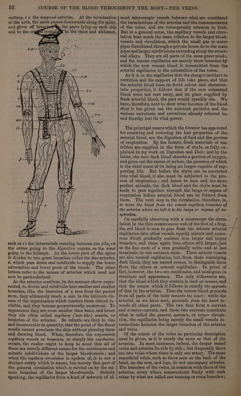 axillary, t a the temporal arteries. and to the orgg ging in the chest and abdomen, _—— } SWRPA. oo wr UWA AY S PN i r gs 2 t, my = N . ve &lt;A) = wim = poe 19 = = a= = : V x ---C@ ——) Mi yy gag such as ii the intercostals running between the ribs, ce@ the celiac going to the digestive organs, re the renal going to the kidneys. At the lower part of the spine it divides in two great branches called the diac arteries, il, which pass down and subdivide to supply the lower extremities and lower parts of the trunk. The other letters refer to the names of arteries which need not now be particularized. As the arteries continue, in the manner above repre- sented, to divide and subdivide into smaller and smaller branches, like the branches of a tree from the parent stem, they ultimately reach a size in the intimate tis- sues of the organization which renders them almost in- visible, and they become proportionally numerous. To appearance they are even smaller than hairs, and hence they are often called capillary (hair-like) vessels, or branches of the arteries. So minute are they in size and innumerable in quantity, that the point of the finest needle cannot penetrate the skin without piercing them and drawing blood. When, therefore, the expression capillary vessels or branches, or simply the capillaries, occurs, the reader ought to keep in mind that all of these are merely different names for the continuous and minute subdivisions of the larger bloodvessels; and when the capillary circulation is spoken of, it is not a distinct entity which is meant, but merely that part of the general circulation which is carried on by the mi- nute branches of the larger bloodvessels. Strictly speaking, the capillaries form a kind of network of al- But in a general sense, the capillary vessels and circu- lation bear much the same relation to the larger blood- vessels and circulation, which the small gas or water pipes distributed through a private house do to the main pipes and larger subdivisions extending along the streets and alleys. They are all parts of the same great whole, and the venous capillaries are merely those branches by which the now venous blood is transmitted from the arterial capillaries to the extremities of the veins. As it is in the capillaries that the changes incident to nutrition and the support of life take place, and that the arterial blood loses its florid colour and character- istic properties, it follows that if the now exhausted blood were not sent away, and its place supplied by fresh arterial blood, the part would speedily die. We have, therefore, next to shew what becomes of the blood after it has given out the nutrient particles and the various secretions and excretions already referred to, and thereby lost its vital power. The principal means which the Creator has appointed for renewing and restoring the lost properties of the arterial blood, are the digestion of food and the process of respiration. By the former, fresh materials of nu- trition are supplied in the form of chyle, as fully ex- plained in my work on Digestion and Diet; and by the latter, the now dark blood absorbs a portion of oxygen, and gives out the excess of carbon, the presence of which is the chief cause of its being no longer capable of sup- porting life. But before the chyle can be converted into vital blood, it also must be subjected to the pro- cess of respiration ; and hence in man and the more perfect animals, the dark blood and the chyle must be made to pass together through the lungs or organs of them. The next step in the circulation, therefore, is, to trace the blood from the remote capillary branches of the arteries where we left it to the lungs or organs of re- Spiration. On carefully observing with a microscope the circu- lation in the thin membranous web of the foot of a frog, the red blood is seen to pass from the minute arterial capillaries into other vessels equally minute and nume- rous which gradually coalesce into larger and larger branches, and these again into others still larger, just as the fine roots of a tree gradually unite and at last terminate in one common stem. These minute vessels are also termed capillaries, but, from their containing dark blood, they are named venous, to distinguish them from the others as arterial capillaries. In point of fact, however, the two are continuous, and analogous in structure and appearance. The only differences are, that the blood which they contain is dark or venous, and that the course which it follows is exactly the opposite of that in the arteries. Thus the venous blood proceeds from all parts of the body towards the heart; while the arterial, as we have seen, proceeds from the heart to- wards all other parts. The two thus form a current and counter-current, and these two currents constitute what is called the general, systemic, or larger circula- tion, the capillaries being merely the small vessels in- termediate between the larger branches of the arteries and veins. Of the course of the veins no particular description need be given, as it is nearly the same as that of the arteries. In most instances, indeed, the deeper seated’ veins and arteries lie side by side ; but frequently there are two veins where there is only one artery. The more superficial veins, such as those seen on the back of the hand, on the arm, and legs, do not accompany arteries. The branches of the veins, in common with those of the arteries, every where communicate freely with each 2 ae ¥ ae _* -