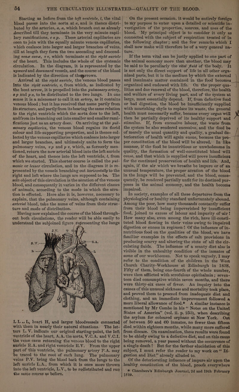 Starting as before from the left ventricle, 1, the vital blood passes into the aorta at a, and is thence distri- ' On the present occasion. it would be entirely foreign to my purpose to enter upon a detailed or scientific in- described till they terminate in the very minute capil- lary ramifications, cap. These arterial capillaries are eeen to join with the equally minute venous capillaries, which coalesce into larger and larger branches of veins, till at length they form the two ascending and descend- ing vene cave, vv, which terminate at the right auricle of the heart. This includes the whole of the systemic circulation. In the diagram, it is represented by the upward and downward vessels, and the course of the blood is indicated by the direction of thegprrows. Arrived at the right auricle, the venous blood passes into the right ventricle, v, from which, as indicated by the bent arrow, it is propelled into the pulmonary artery, ap and pa, to be distributed to the two lungs. In one sense it is a misnomer to call it an artery, as it contains venous blood ; but it has received that name partly from its structure, and partly from its bearing the same relation to the right ventricle which the aorta does to the left, andfrom its branching out into smaller and smaller rami- fications just as an artery does. On arriving at the pul- monary capillaries, the venous blood regains its florid colour and life-supporting properties, and is thence col- lected by the venous capillaries which coalesce into larger and larger branches, and ultimately unite to form the pulmonary veins, vp and p v, which, as formerly men- tioned, return the now arterial blood into the left auricle of the heart, and thence into the left ventricle, J, from which we started. This shorter course is called the pul- monic or lesser circulation, and in the diagram it is re- presented by the vessels branching out horizontally to the right and left where the lungs are supposed to be. The sole object of this circulation is the aération of the venous blood, and consequently it varies in the different classes of animals, according to the mode in which the aéra- tion is effected.. Here also it is, however, necessary to explain, that the pulmonary veins, although containing arterial blood, take the name of veins from their struc- ture and mode of distribution. Having now explained the course of the blood through- out both circulations, the reader will be able easily to understand the subjoined figure £epresenting the lungs LLL, heart H, and larger bloodvessels connected with them in nearly their natural situations. The let- ters L. V. indicate our original starting-point, the left ventricle of the heart, A.A. the aorta, V.C.A. and V.C.I. ‘the vene cave returning the venous blood to the right ‘auricle R.A. and right ventricle R.V. From the upper part of this ventricle, the pulmonary artery P.A. may be traced to the root of each lung. The pulmonary veins P.V. bring the blood back from the lungs to the left auricle L.A., from which it is once more thrown into the left ventricle, L.V., to be redistributed and run the same course as before, haat blood. ‘My principal object is to consider it only as connected with the subject of respiration treated of in the following chapter; and the few remarks which I shall now make will therefore be of a very genera] na- ture. If the term vital can be justly applied to one part of the animal economy more than another, the blood may be said to be peculiarly the vital fiuid of the body. ‘It is not only the direct support of life in all other orga- nized parts, but it is the medium by which the external = at } organized and endowed with life. On the proper qua- lities and due renewal of the blood, therefore, the health and welfare of every living part, and of the system at large, must essentially depend. If, from defective food or bad digestion, the blood be insufficiently supplied with nourishing chyle to replace its waste, the general health must necessarily suffer, because every organ will then be partially deprived of its healthy support and stimulus. If, from excessive labour, the waste from the system be also rendered excessive, and the food be of merely the usual quantity and quality, a gradual de- terioration of health will again ensue, because the pro- per constitution of the blood will be altered. In like manner, if the food be innutritious or unwholesome in quality, the formation of well-constituted blood will cease, and that which is supplied will prove insufficient for the continued preservation of health and life. And, again, if the air which we breathe be impure or of an unusual temperature, the proper aération of the blood in the lungs will be prevented, and the blood, conse- quently, be rendered partially unfit for its destined pur- poses in the animal economy, and the health become impaired. In society, examples of all these departures from the physiological or healthy standard unfortunately abound. Among the poor, how many thousands constantly suffer from their blood being impoverished by insufficient food, joined to excess of labour and impurity of:air! How many also, even among the rich, have ill-consti- tuted blood flowing in their veins owing to impaired nutritious food on the qualities of the blood, we have familiar examples in the effects of salt provisions in producing scurvy and altering the state of all the cir- culating fluids. The influence of a scanty diet also is visible in the unhealthy condition of the inmates of some of our workhouses. Not to speak vaguely, I may refer to the condition of the children in the West Church Charity-Workhouse at Edinburgh in 18388, Fifty of them, being one-fourth of the whole number, were then afflicted with scrofulous ophthalmia; seven- teen died consumptive within seven months, and there were thirty-six cases of fever. An inquiry into the causes of this unusual sickness and mortality took place, and proved them to proceed from inadequate diet and clothing, and an immediate improvement followed a more liberal allowance of food.* A similar instance is mentioned by Mr Combe in his “‘ Notes on the United States of America’’ (vol. ii. p. 253), when describing the asylum for coloured orphans at New York. Out of between 50 and 60 inmates, no fewer than fifteen died within eighteen months, while many more suffered from disease. On examination, these results were found to be chiefly owing to a defective diet, and on this cause being removed, a year passed without the occurrence of a single death! But for the farther elucidation of this subject, I must refer the reader to my work on “ Di- gestion and Diet” already alluded to. Of the deteriorating influence of impure air upon the healthy constitution of the blood, proofs everywhere * Chambers’s Edinburgh Journal, 2d and 19th February 4 / Gn. -