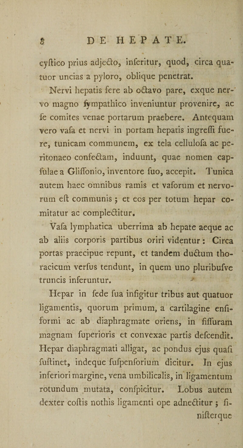 \ cyftlco prius adjedo, inferitur, quod, circa qua- tuor uncias a pyloro, oblique penetrat. Nervi hepatis fere ab odavo pare, exque ner-’ vo magno fympathico inveniuntur provenire, ac fe comites venae portarum praebere. Antequam vero vafa et nervi in portam hepatis ingreffi fue¬ re, tunicam communem, ex tela cellulofa ac pe¬ ritonaeo confedam, induunt, quae nomen cap- fulae a Gliffonio, inventore fuo, accepit. Tunica autem haec omnibus ramis et vaforum et nervo¬ rum efl: communis 5 et eos per totum hepar co¬ mitatur ac compledlitur. Vafa lymphatica uberrima ab hepate aeque ac ab aliis corporis partibus oriri videntur: Circa portas praecipue repunt, et tandem dudum tho¬ racicum verfus tendunt, in quem uno pluribufve truncis inferuntur. Hepar in fede fua infigitur tribus aut quatuor ligamentis, quorum primum, a cartilagine enfi- formi ac ab diaphragmate oriens, in filTuram magnam fuperioris et convexae partis defeendit. Hepar diaphragmati alligat, ac pondus ejus quafi fuflinet, indeque fufpenforiufn dicitur. In ejus inferiori margine, vena umbilicalis, in ligamentum rotundum mutata, confpicitur. Lobus autem dexter coftis nothis ligamenti ope adneditur 5 fi- nifterque