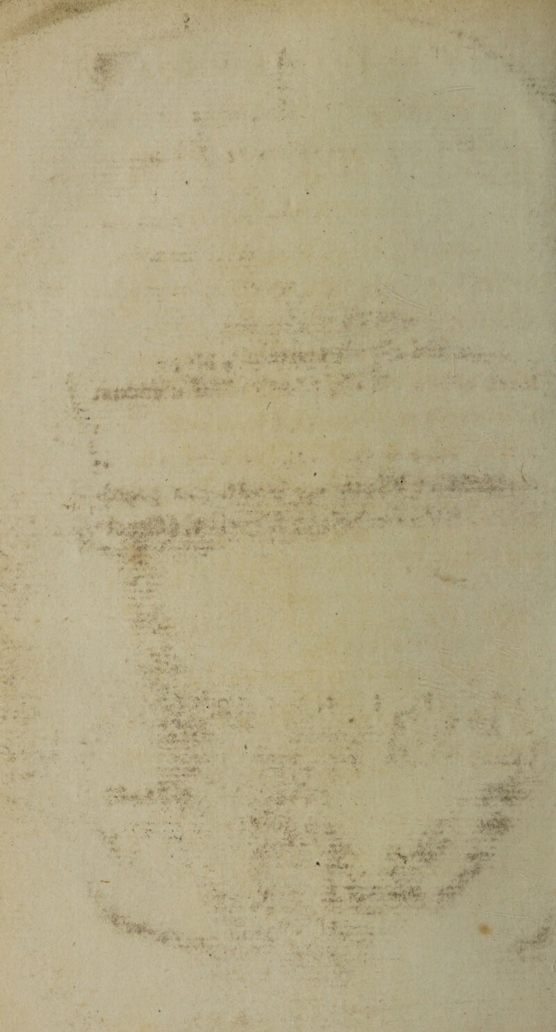 ?i* I &amp; ■ '/» Hi a:.v 4- , V r ' • ••. <■? *> r $' : ‘jt '■ '•• $. ^ ■ u* v-^-r a. *» •? s* ,vt* V &amp;&amp;&amp;?$■: u • Vijr ' j. ■ / r >* .,- A ' ii a' ■ •* :'^.v t * ' %&amp; . i * ■ ..■■ ■••■ • •-• -• •« ! ..■ * ■ • • .  ' <- . '. V • K •. v - ■ . » ' .i . -'•*• •; . r. r *■' » «•• »• N ? V-* V Jv '' V ’ f < ■•• r •■*** V&amp;*'* • t * . . /» * #• . . v • - • /*->• \*> T^V'- ■* ■ : * ■ ' . . . - ~ »' * r * ' . ' V-. v v A- ... .'• v V ■'•>■ . • ■•*. ' e : . - • y . • • . - .-t <* ' . . . ' V* * ' ,; . • 7 'i ,.' V ” •; • . «Kt' ■ . * • ■ *' **■ ■<£*, ••- •1 r . »<!■■. . 4 •*•■ V» ■K ' >; i*'- #v ’ Sv“ ^ . ■** ^ ' / O' •/Vi- ■ * <*»•* ***** ' • J&amp;*, (*ir '- • J#. * ■• $ *v«