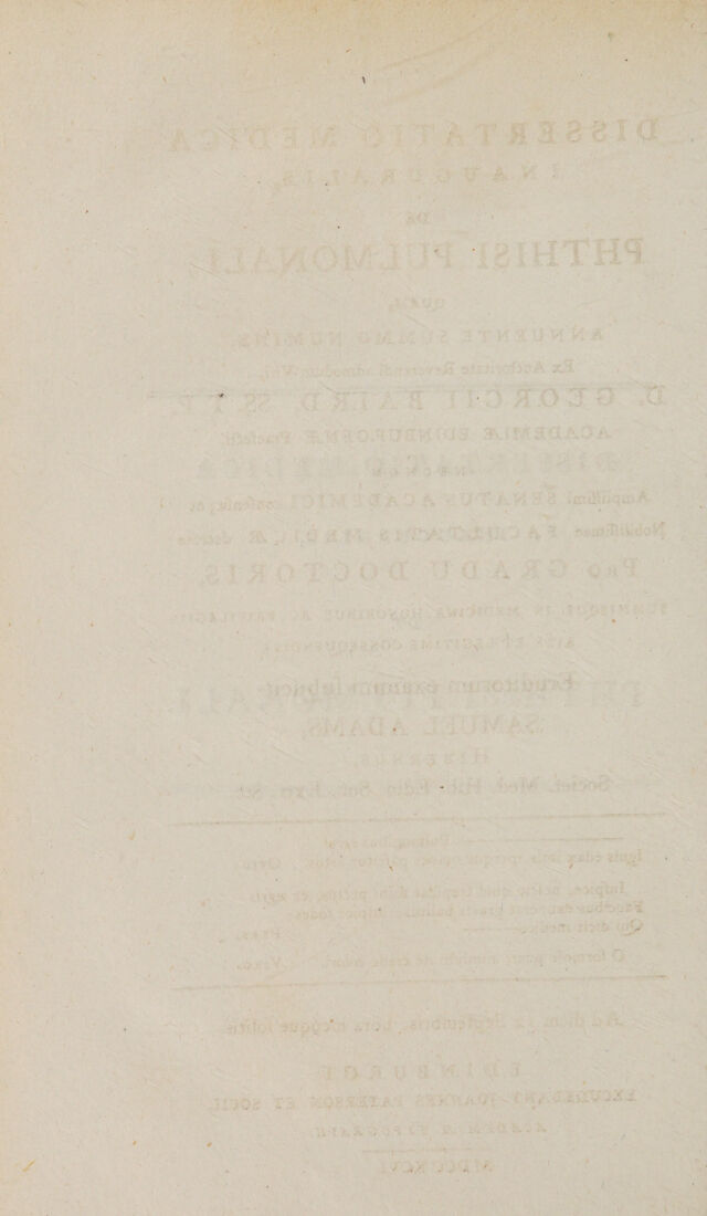 digitised image 2