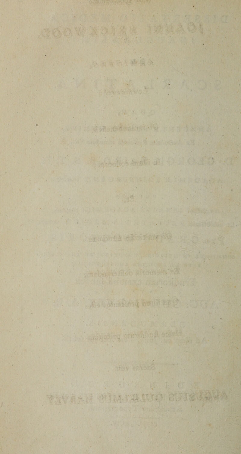 - ^ -ir 5. r- S 1 ^ %f '‘i W -p. ;,'?>.. ' ... ^ '} ' r^i ^ » -s ''%• ■0 !'■ V /#? 4 •'! I • • ,./ V .0: . :,,J. • ■■ *.,). U i < V t % f»» r' f ,>■' ■ I • ■ ^ • ' ,■ ■ ‘ . , V • . • ••'■■<» ’if0f . r .. •?/ -1 n ; « J , ‘ ■;']