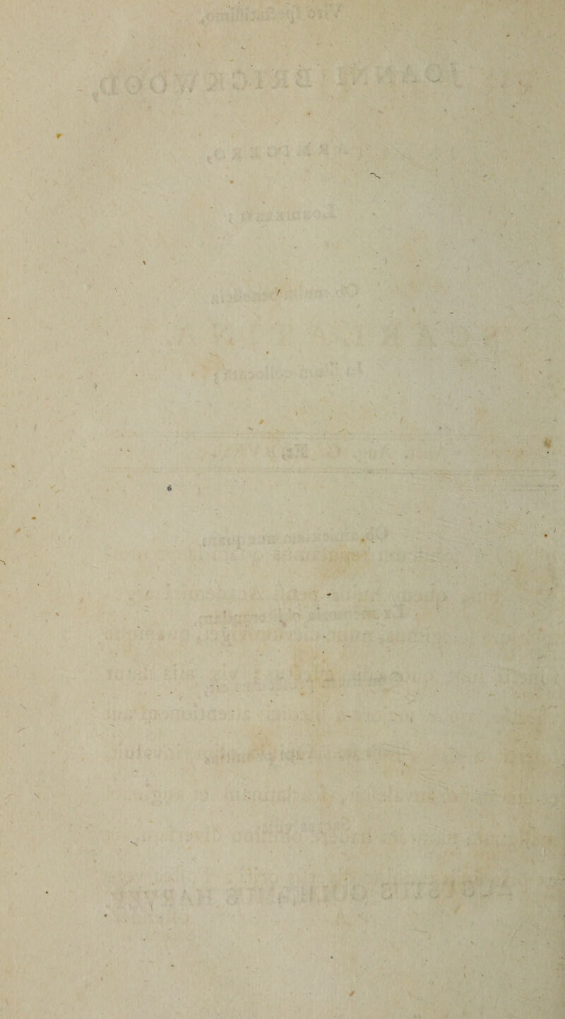 »v/' .•'I ^ »— \ -' 4- ,.f '>v- ■ ■* ,4 iit '■'